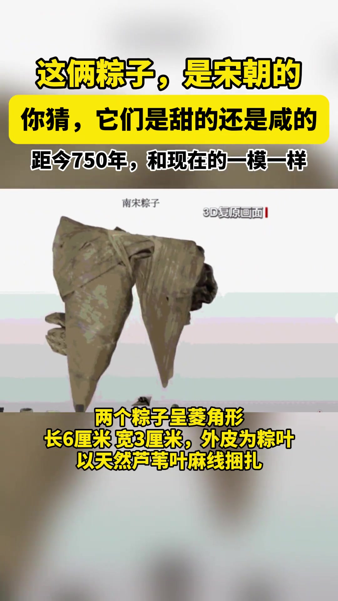 这俩粽子，是宋朝的！ 你猜，它们是甜的还是咸的？