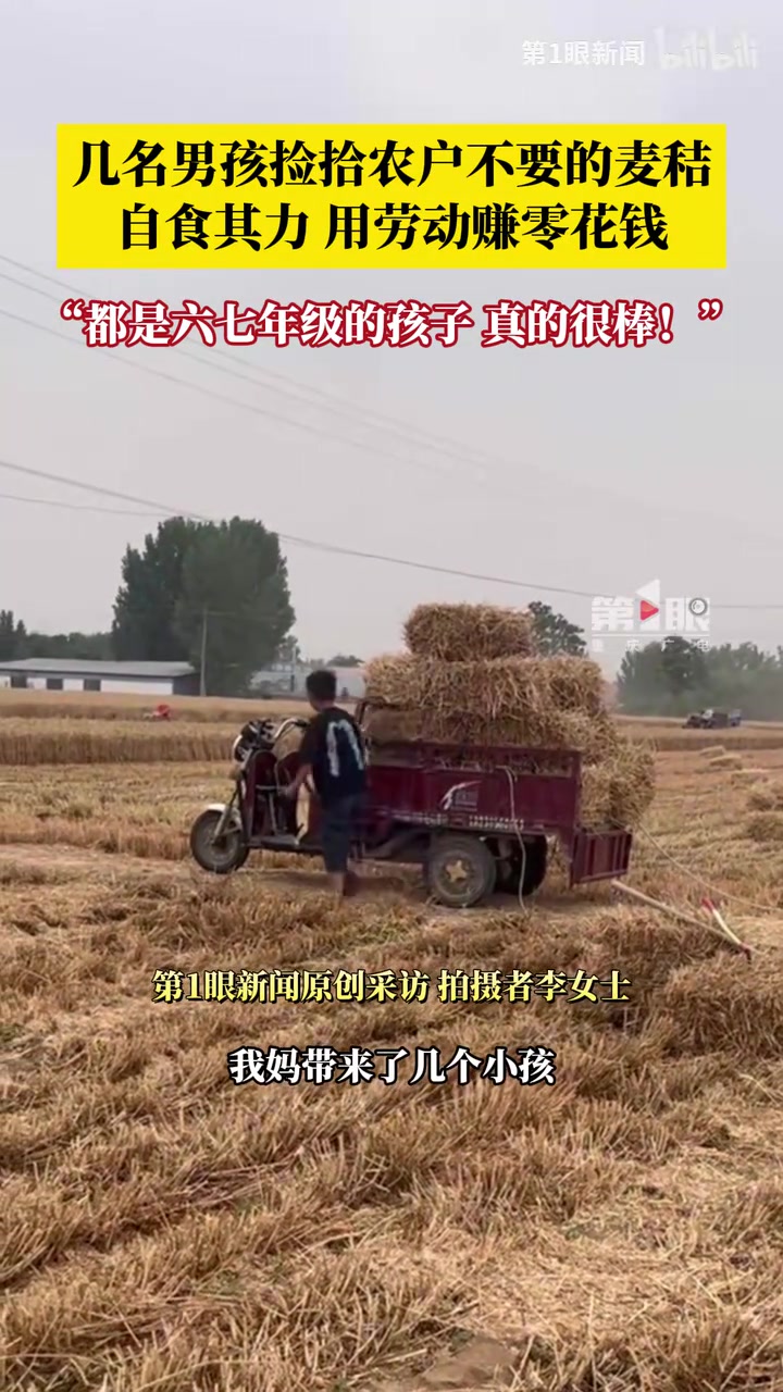 河南几个男孩捡拾农户不要的麦秸卖了赚零花钱