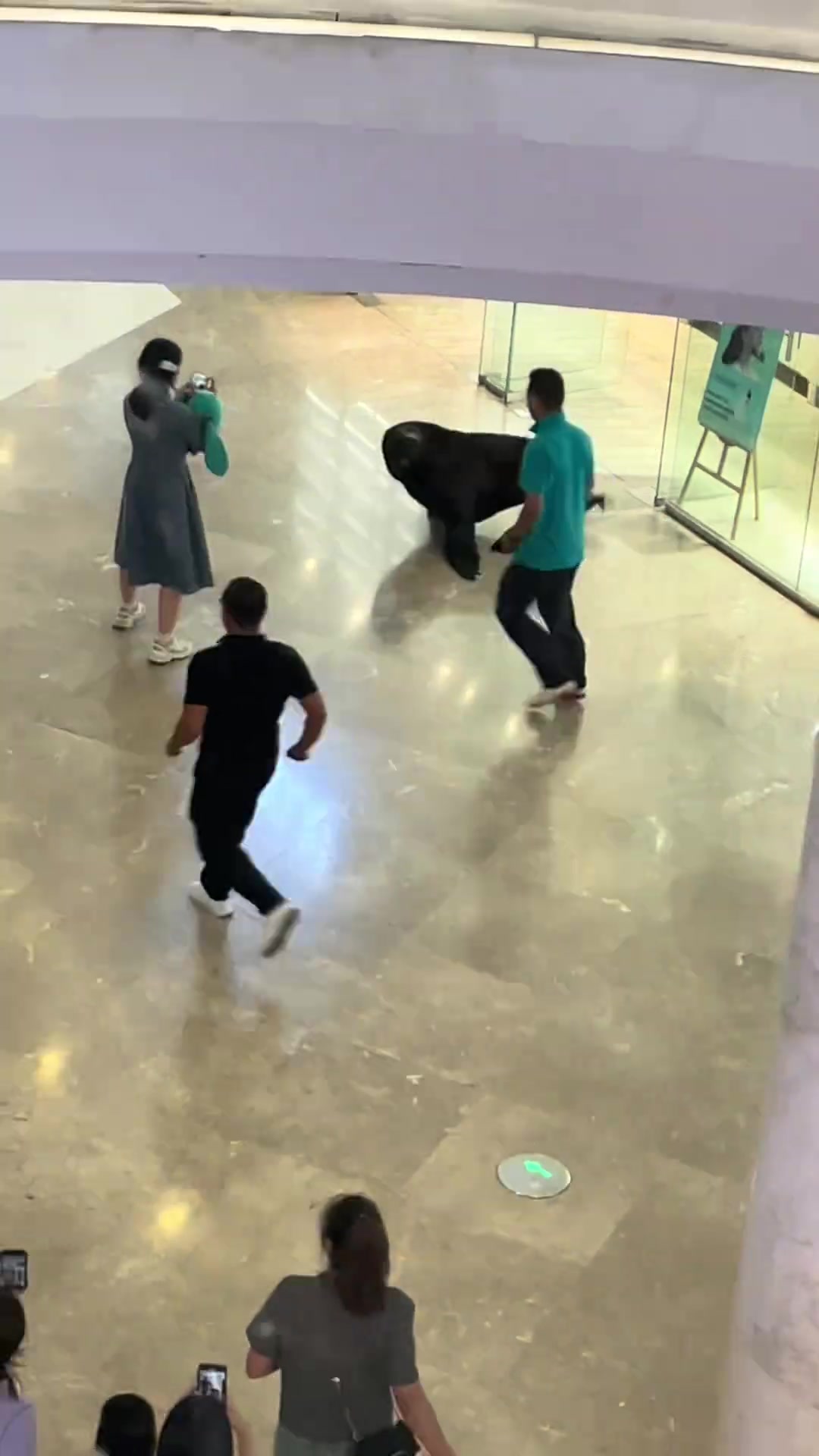 海狮：别拦我 我去比亚迪看看 为啥不出海狮