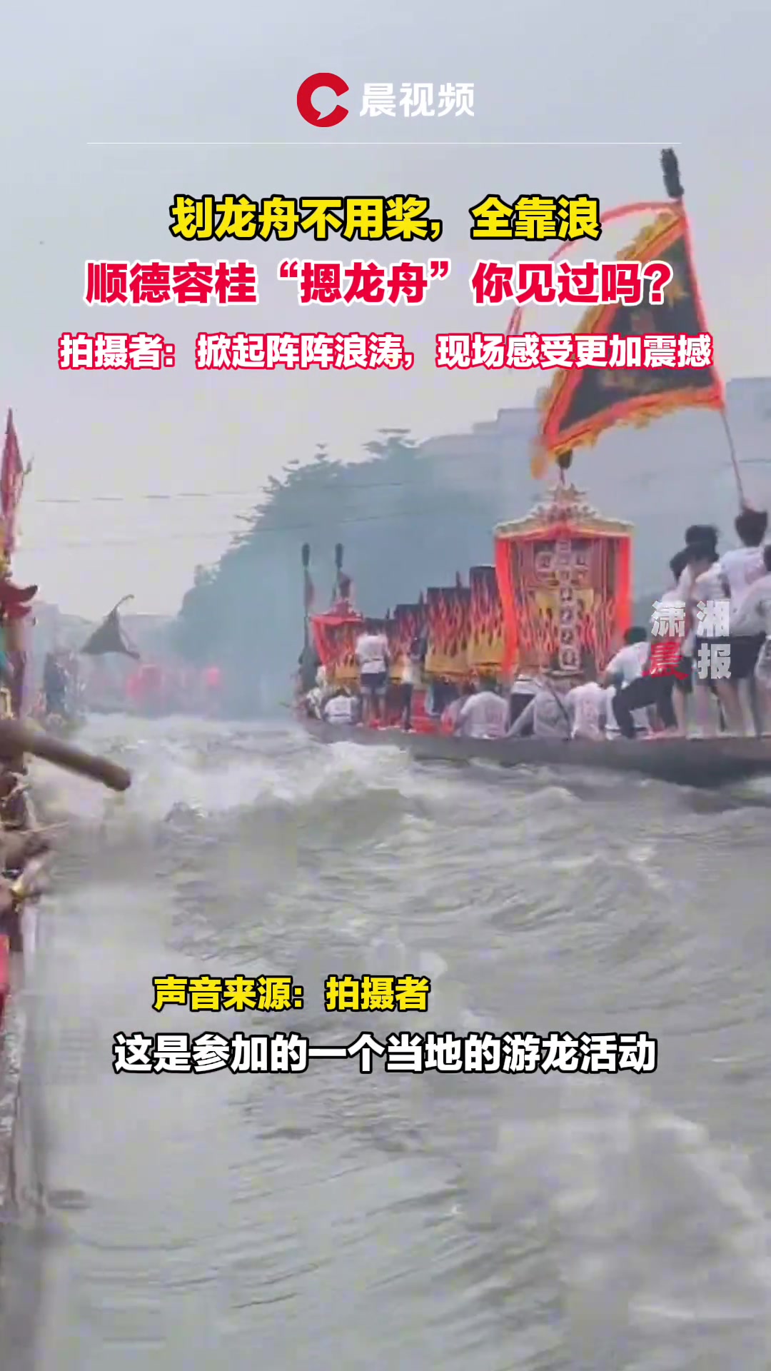 划龙舟不用桨，全靠浪，顺德容桂“摁龙舟”你见过吗？