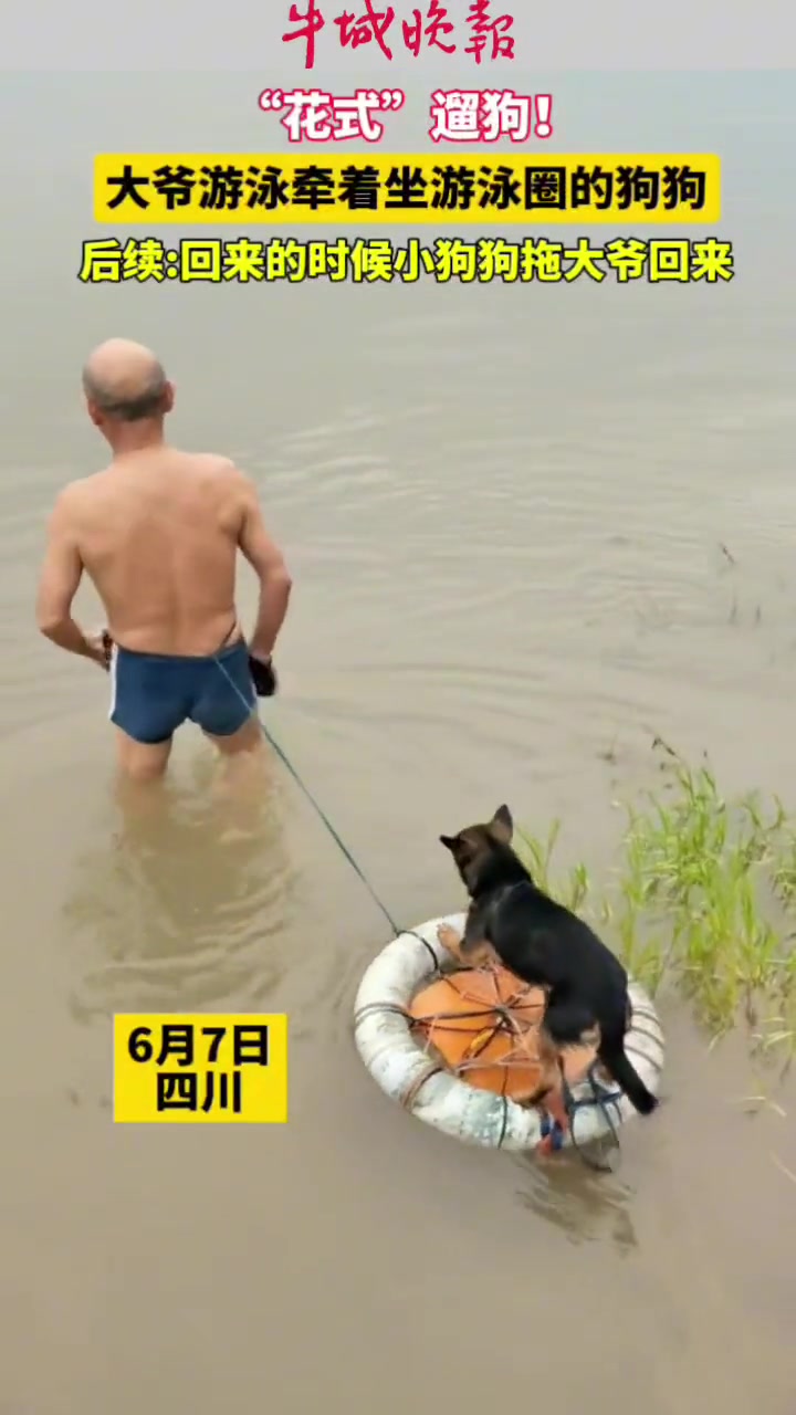 大爷“花式”遛狗！大爷游泳 牵着坐游泳圈的狗狗