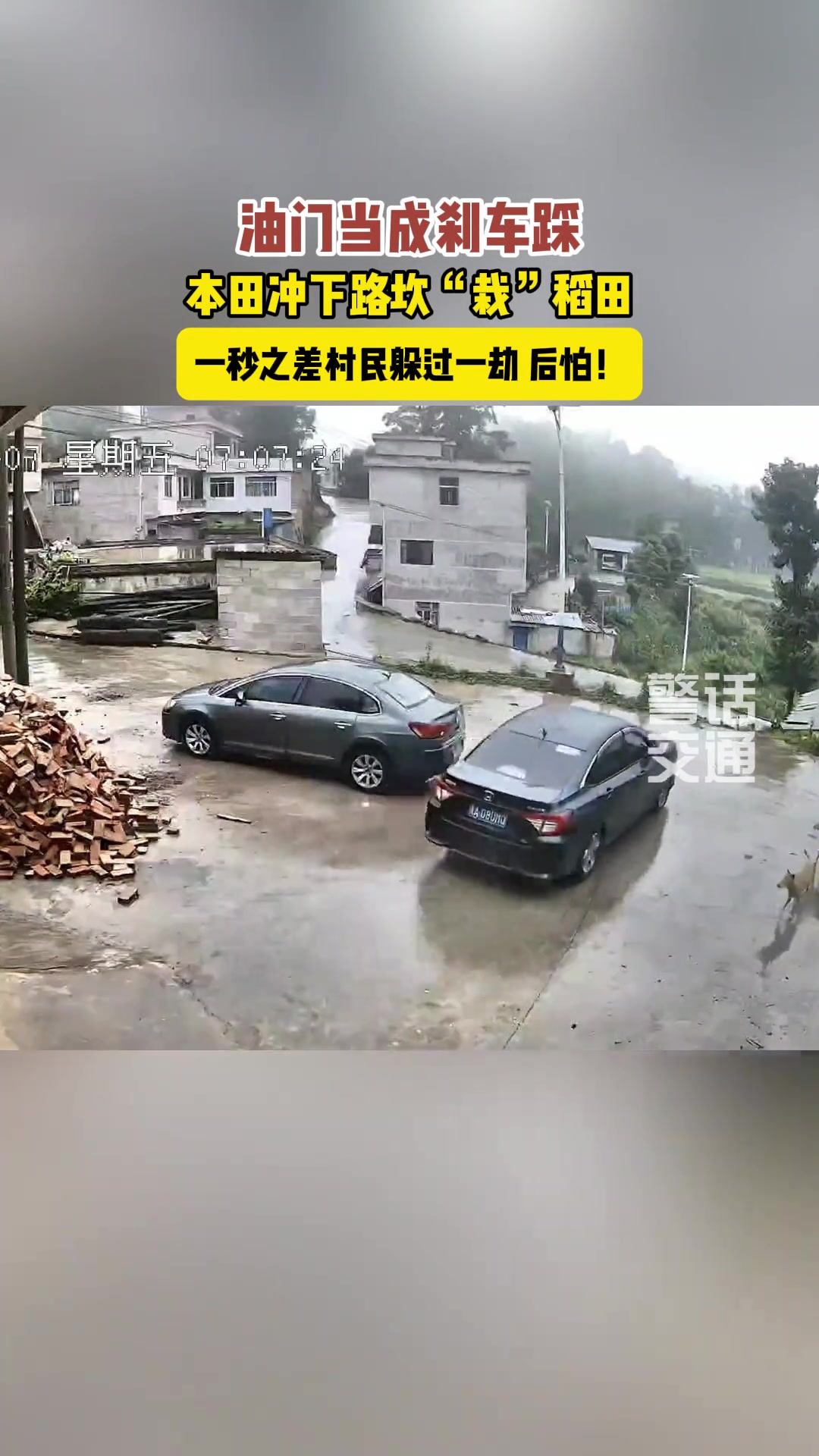 油门当成刹车踩，轿车一头栽进稻田！