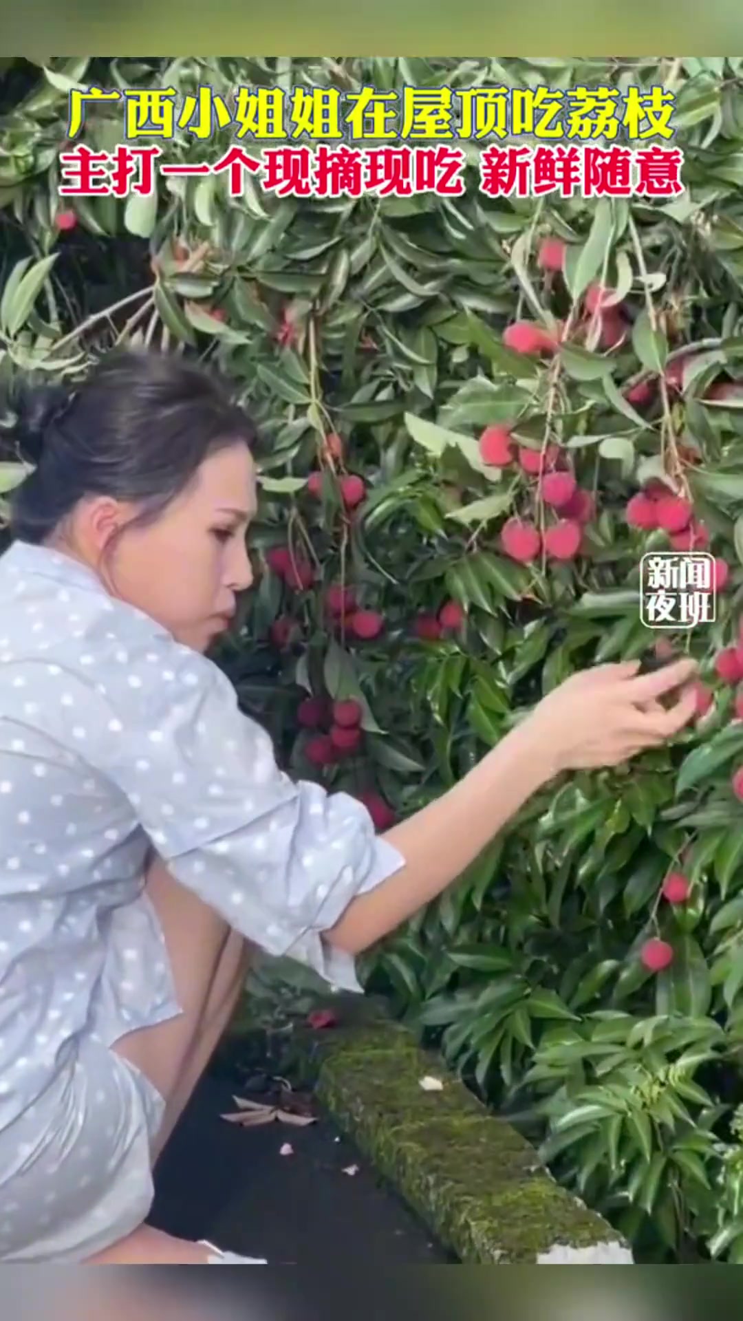 她这主打一个 荔枝现摘 现吃啊！