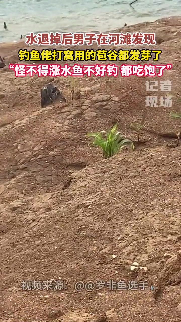 钓鱼老防滑坡有一招的
