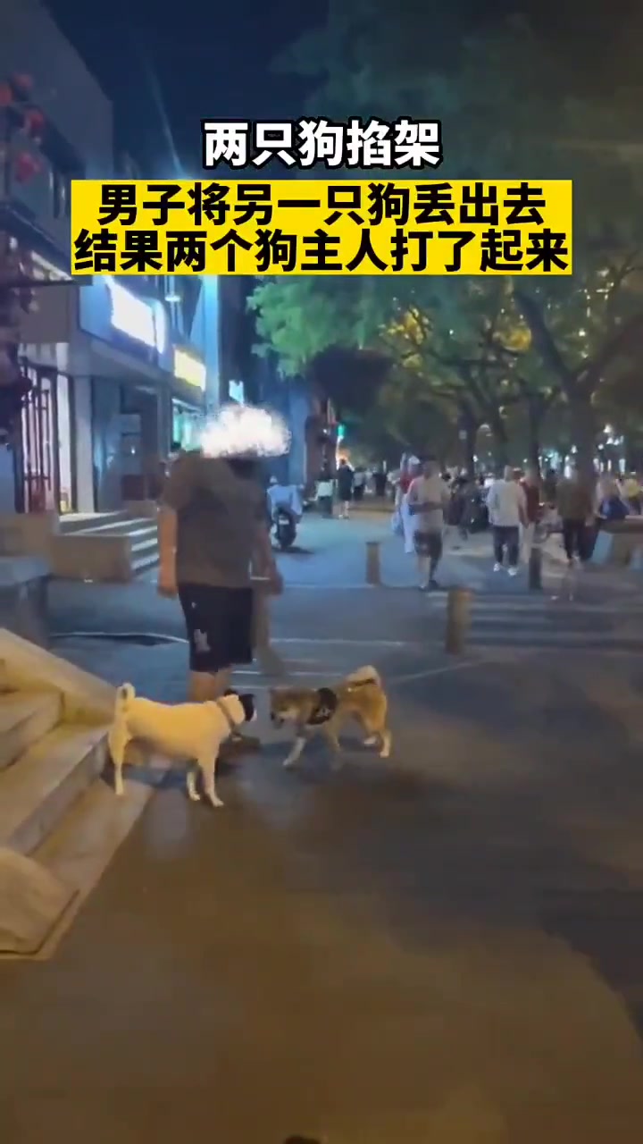 本来是俩狗打架的，结果变成俩人打架了