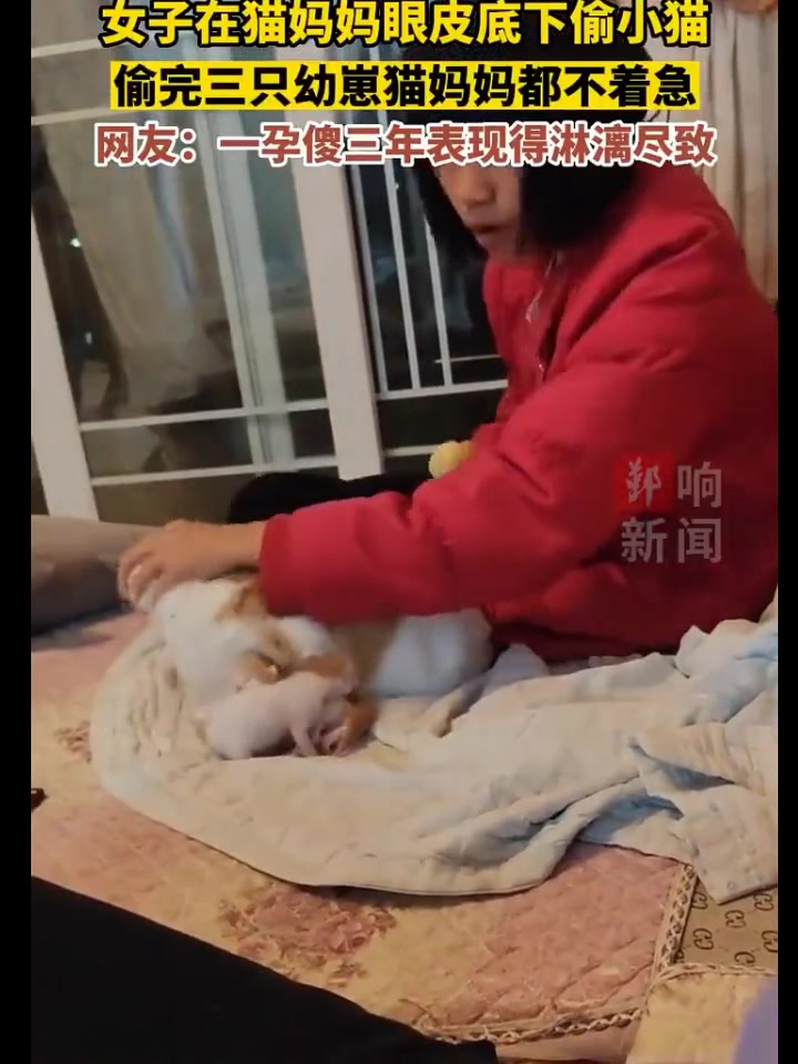 一孕傻三年
