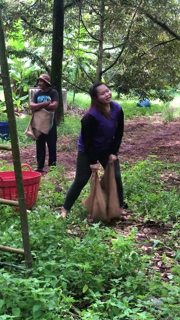 接榴莲这活你觉得你可以接受吗？