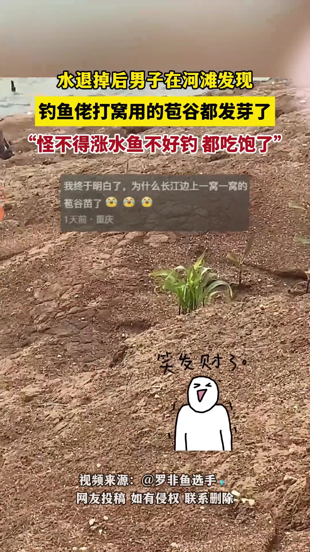 钓鱼佬们还是少打点窝吧