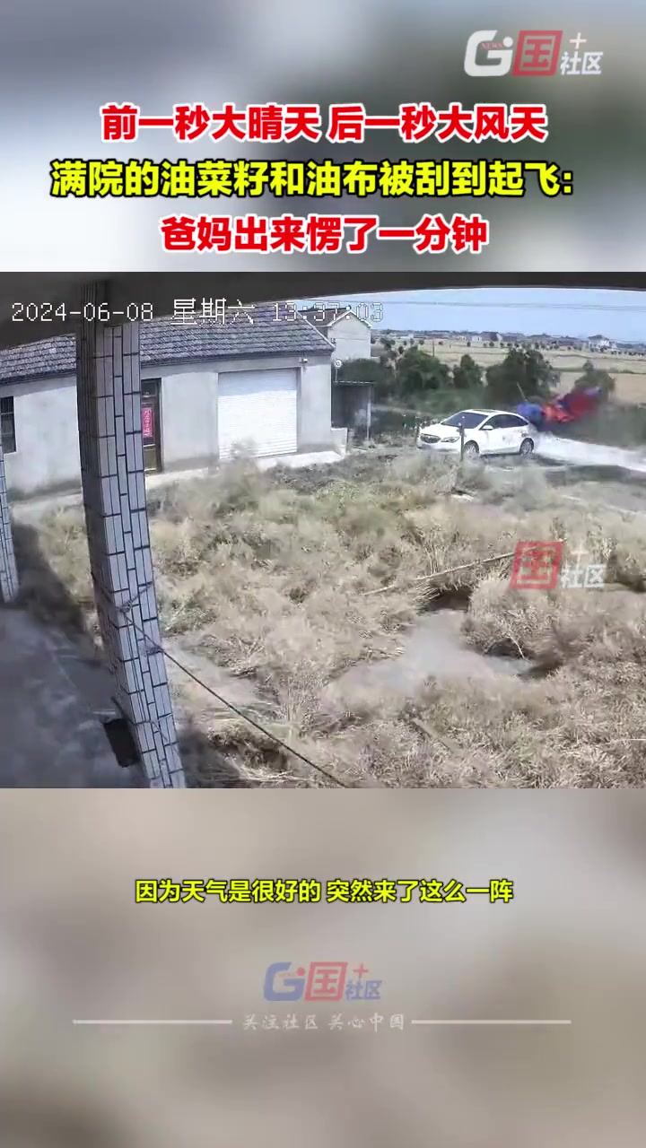 前一秒大晴天 后一秒大风天 满院油菜籽和油布被刮飞