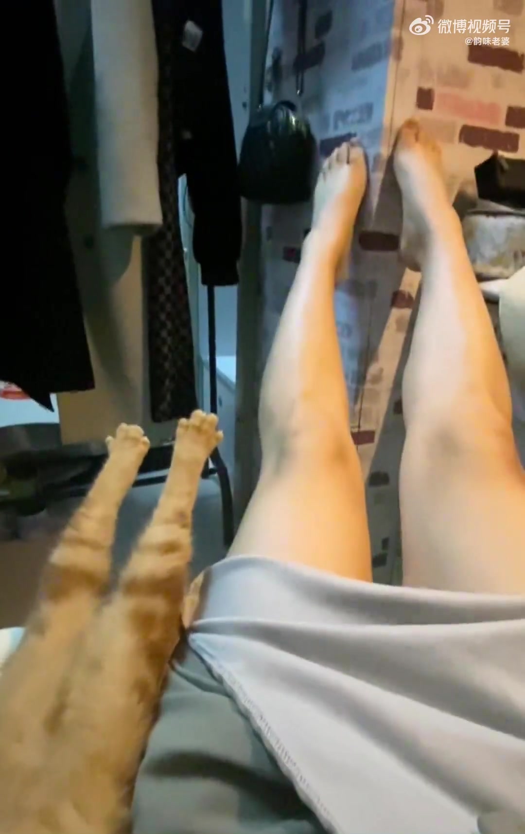 成精了！学女主人抻脚脚的小猫咪
