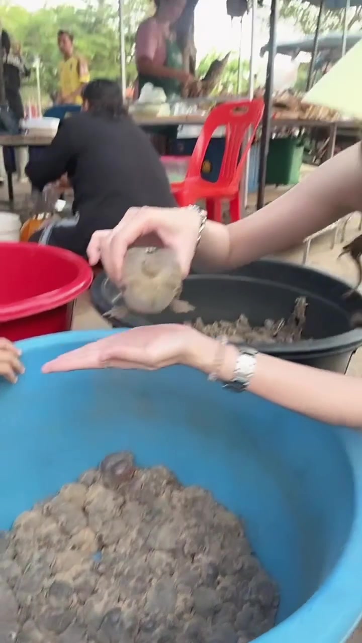 这是啥品种的蛙？吧友们有吃过吗？