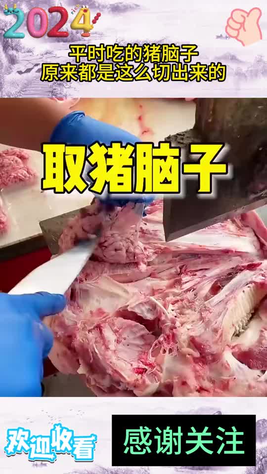 原来我们吃的猪脑都是这么取出来的