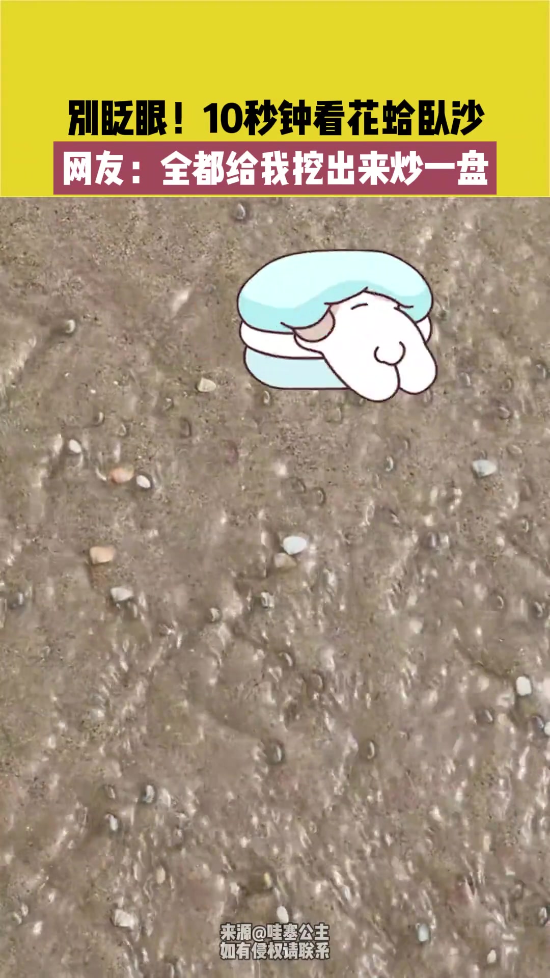别眨眼！10秒钟看花蛤卧沙