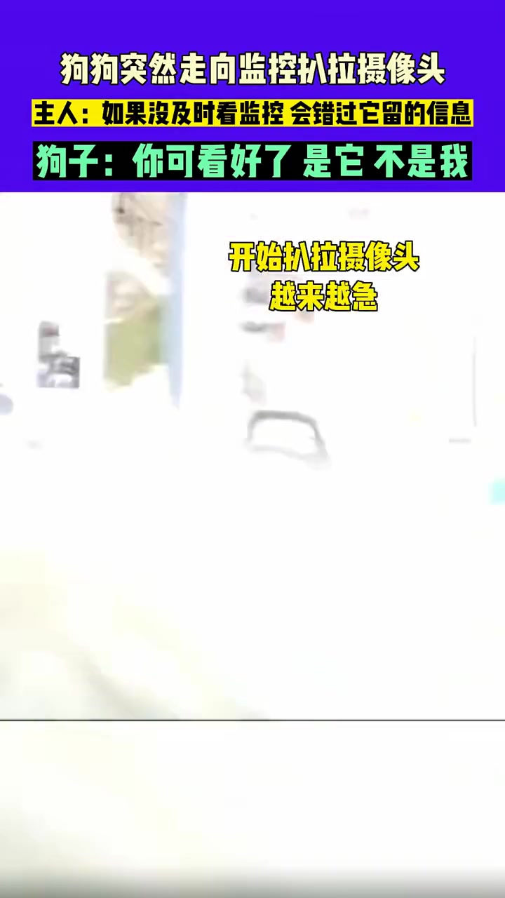 狗狗突然走向监控扒拉摄像头，原来是告状撇清嫌疑