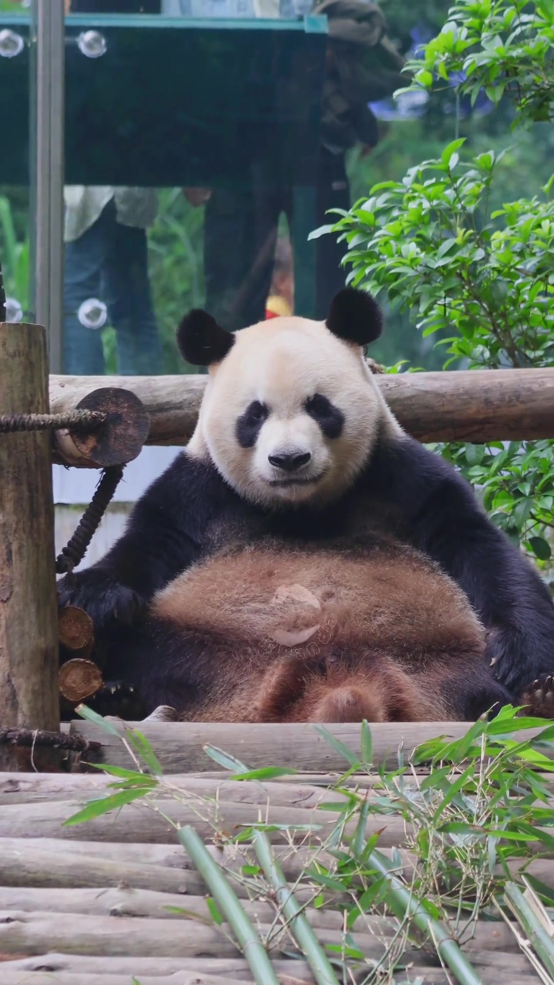 咧嘴那一下太痞太帅了！想谈~