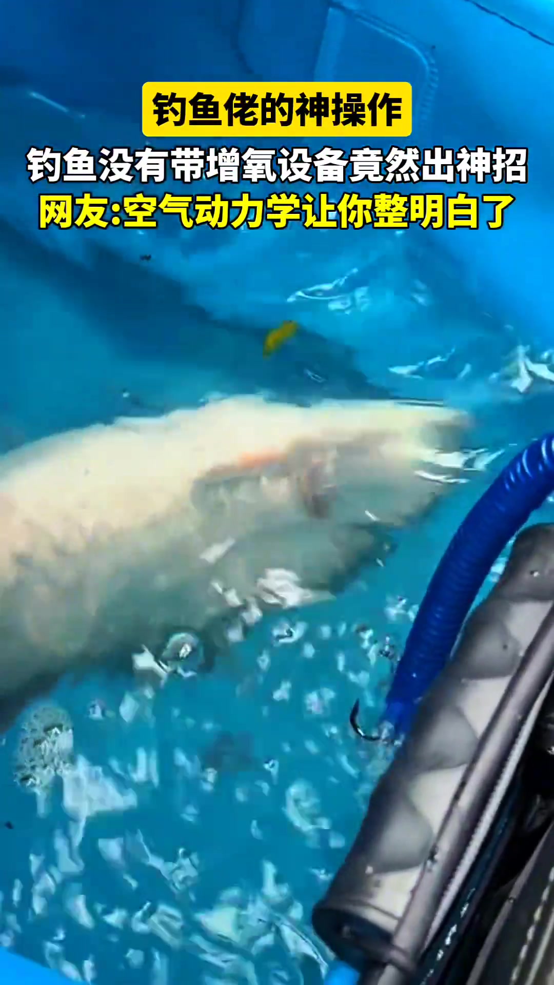 人才！钓鱼佬的神操作，空气动力学得很透彻~
