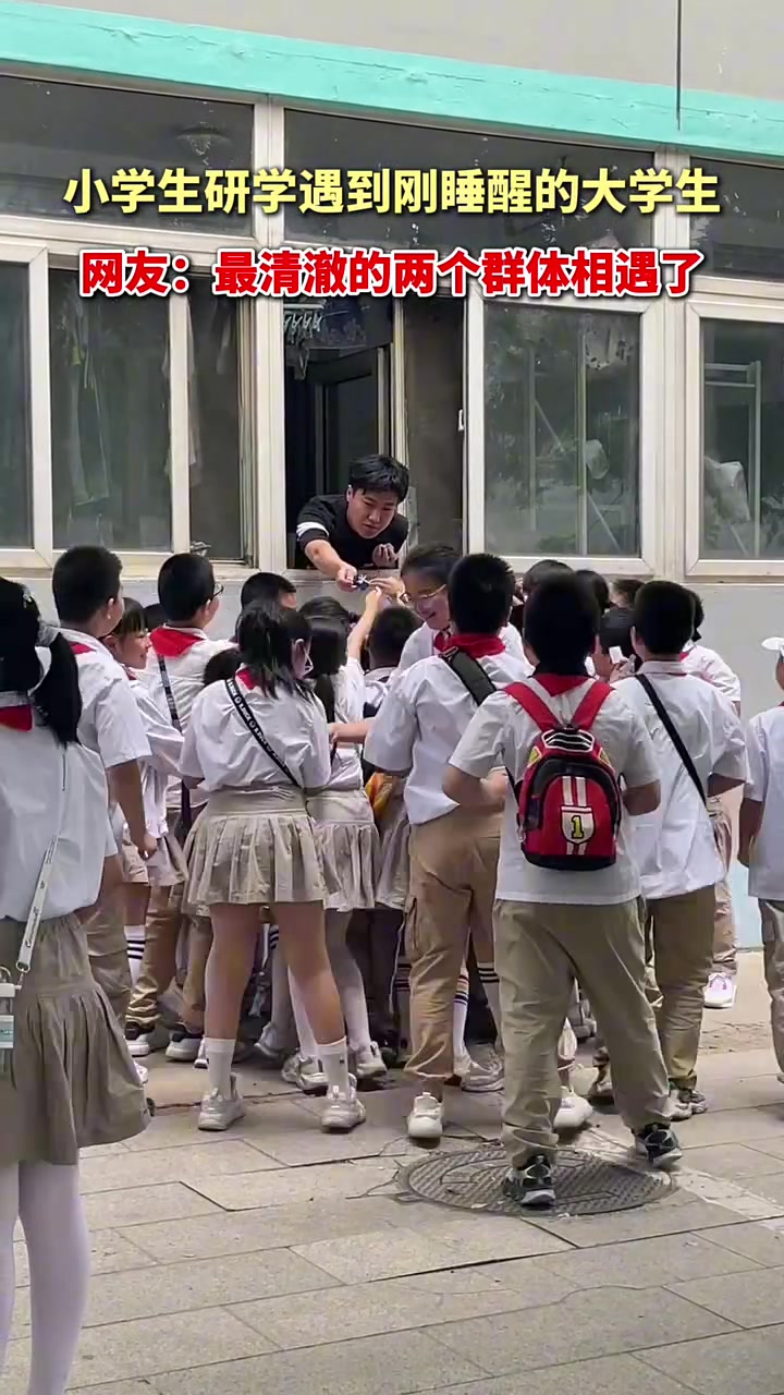 撒糖那动作，像喂锦鲤似的