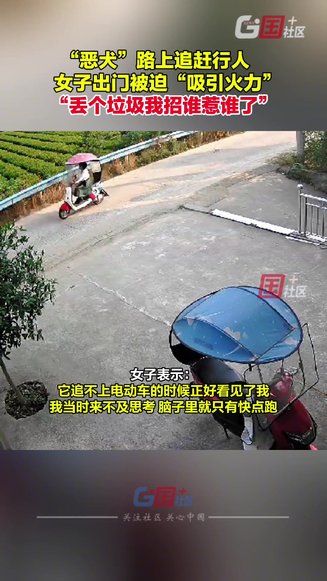 恶犬路上追逐行人 女子出门扔垃圾被迫“吸引火力”