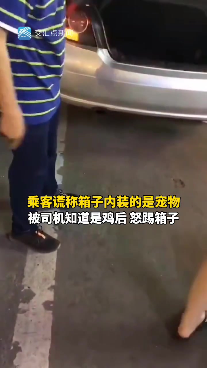 乘客谎称箱子内装的是宠物 被司机知道是鸡后怒踢箱子
