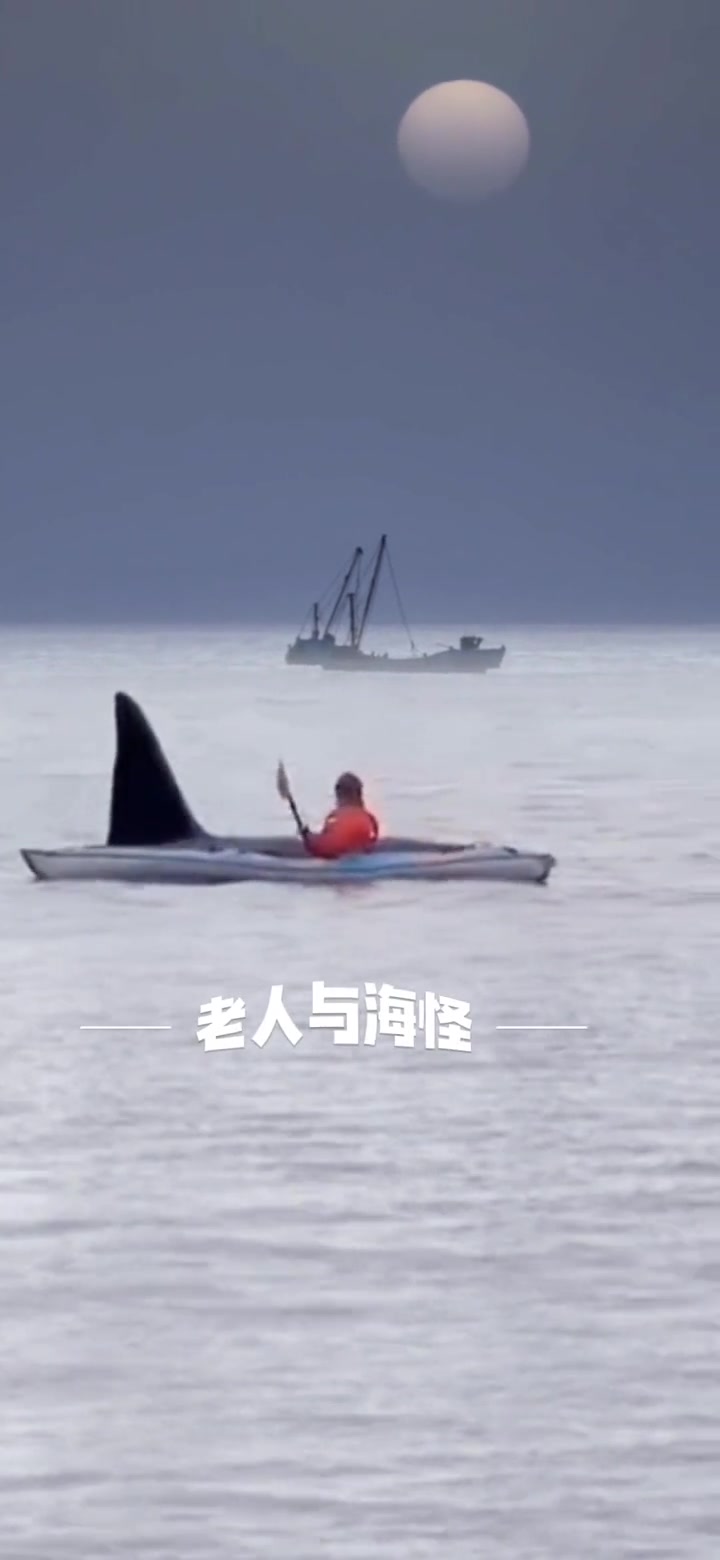 老人与海怪？！这是鲸鱼吗？！