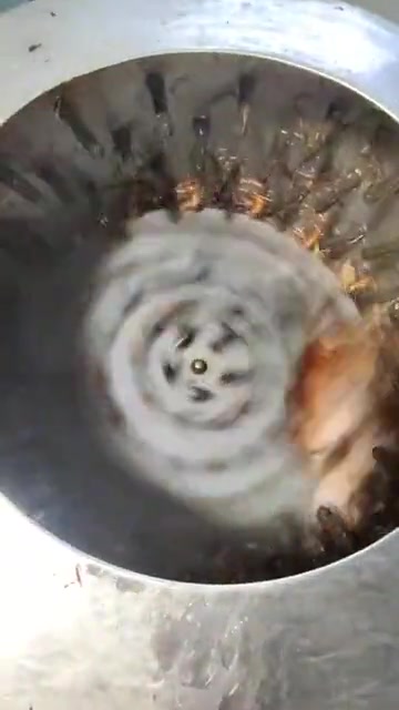 碰到换毛的如何是好