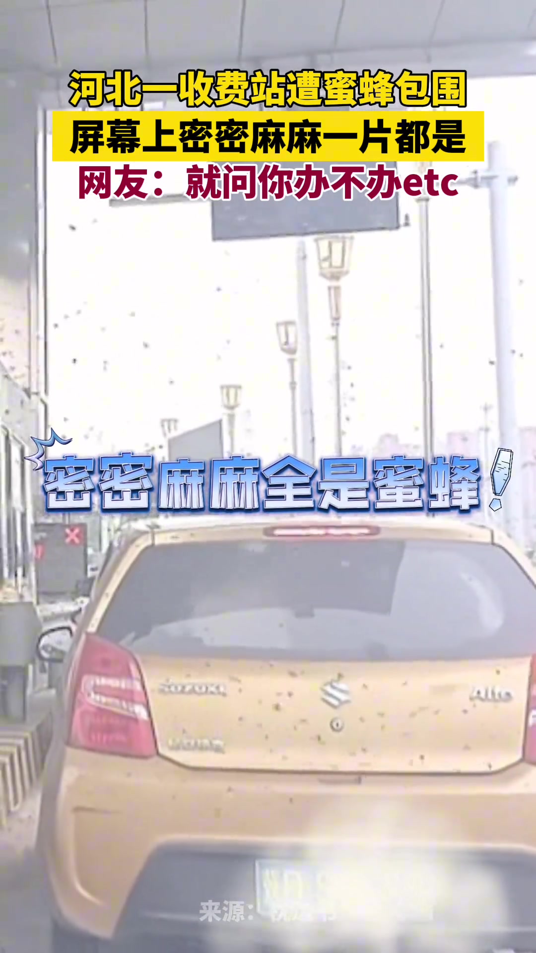 惊！一收费站遭蜜蜂包围 屏幕上密密麻麻一片都是