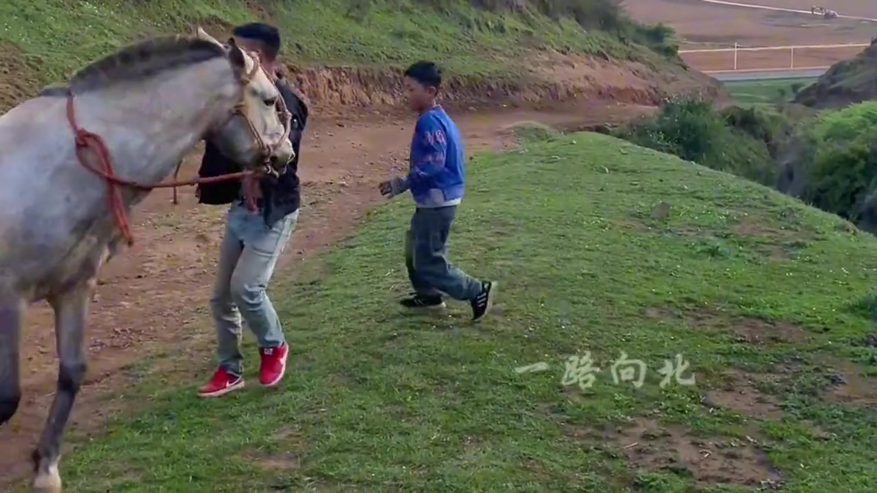 这马，就像生活。当父亲放手那一刻，你就要自己驾驭它