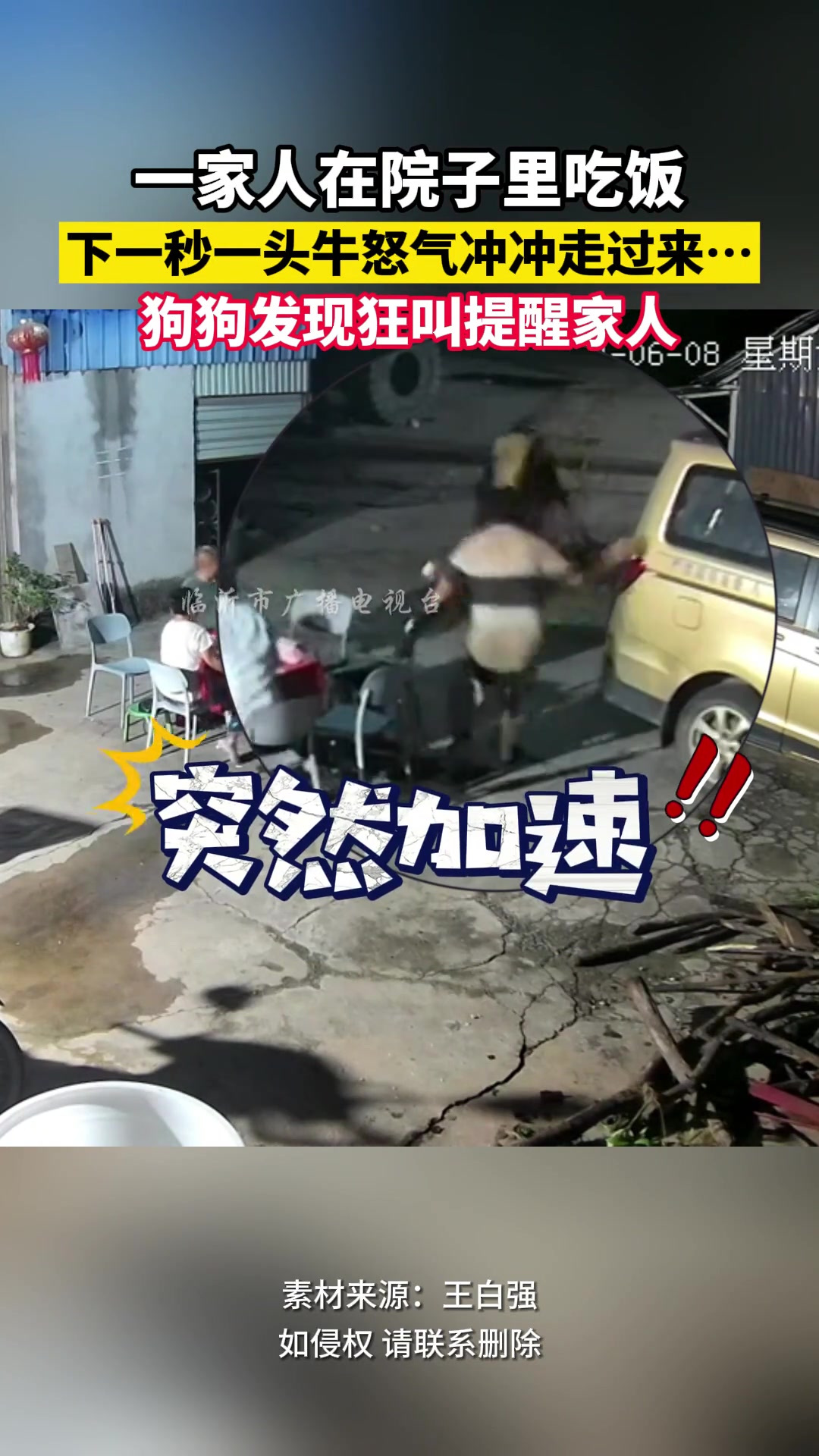 一家人在院子里吃饭 下一秒一头牛怒气冲冲走过来…