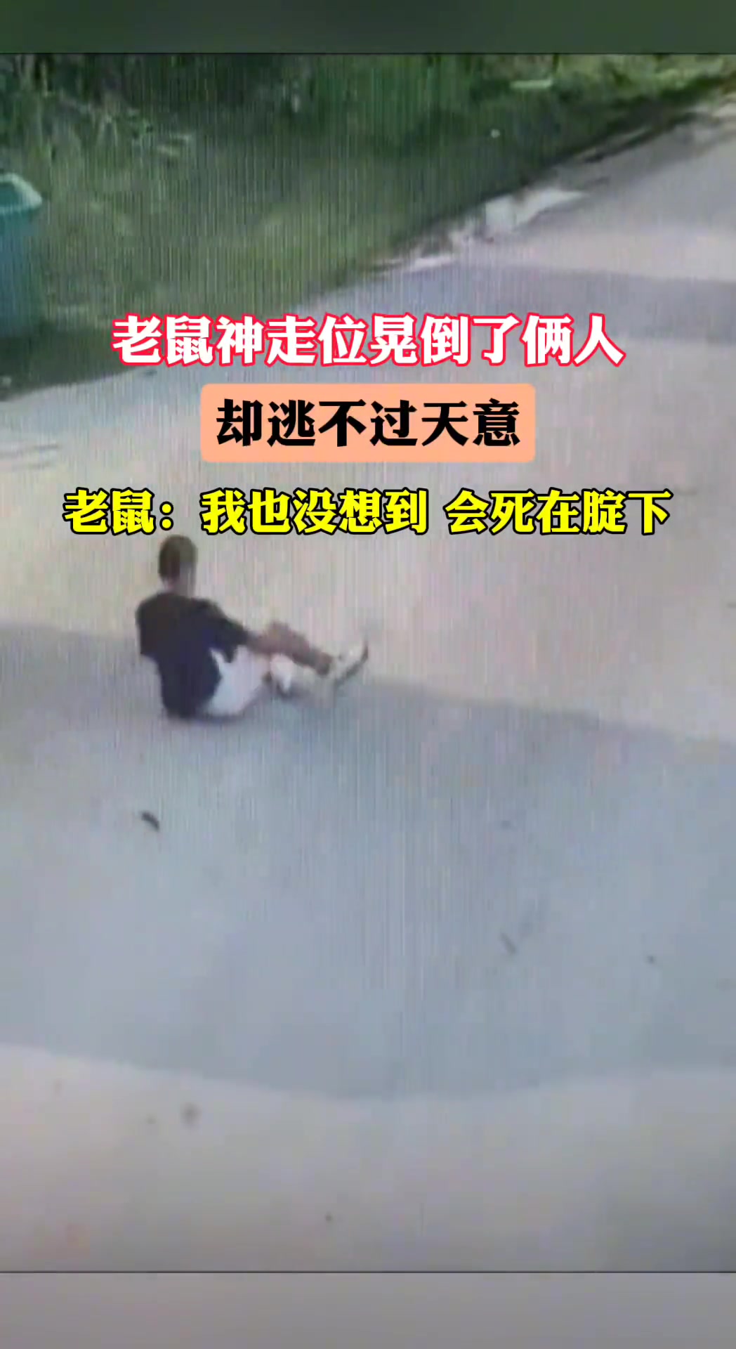 老鼠：鼠鼠我也万万没想到 竟会死在腚下…