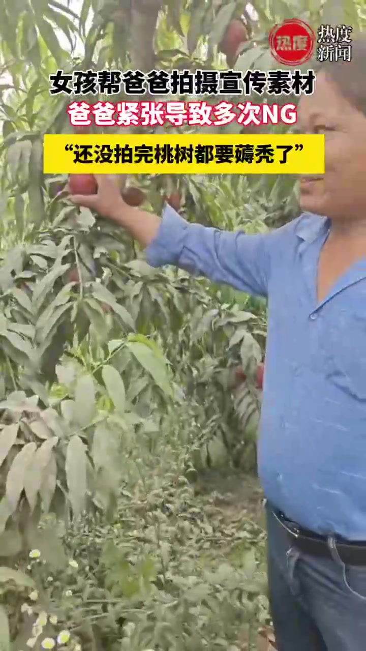 女孩帮爸爸拍摄宣传素材 还没拍完桃树都要薅秃了
