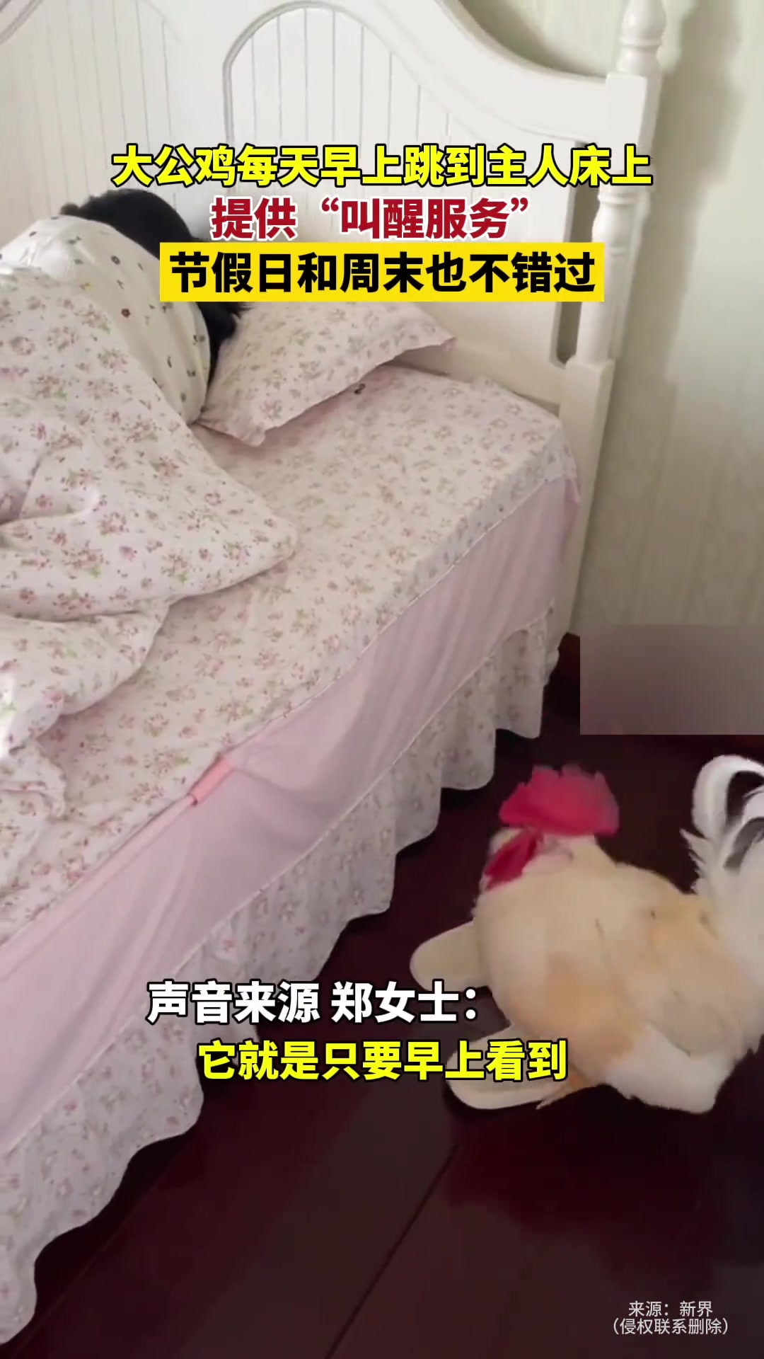 这个“叫醒服务” 你喜欢换吗？