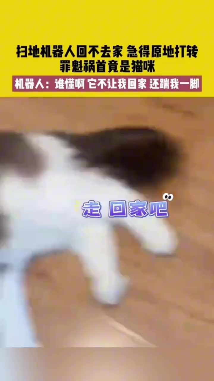 扫地机器人回不去家急的原地打转 罪魁祸首竟是猫咪