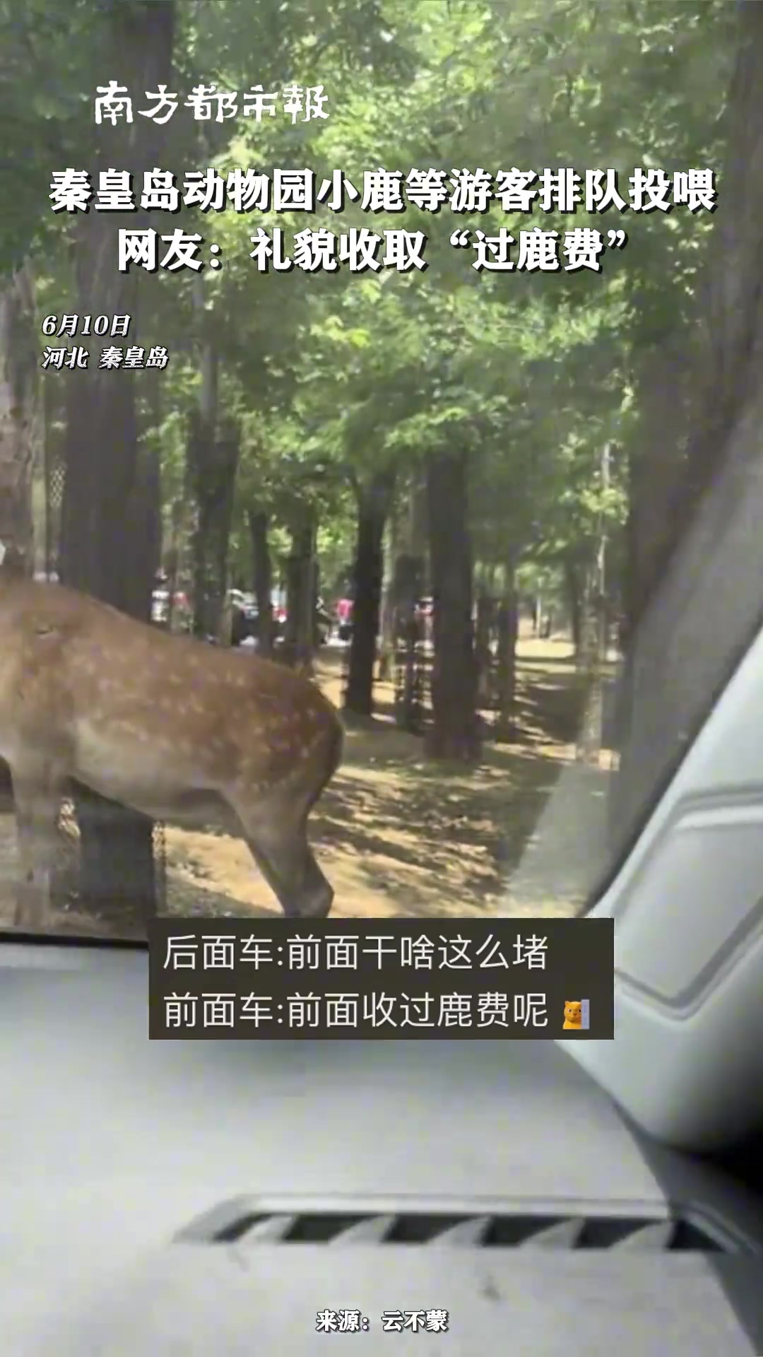 收个过鹿费怎么了？