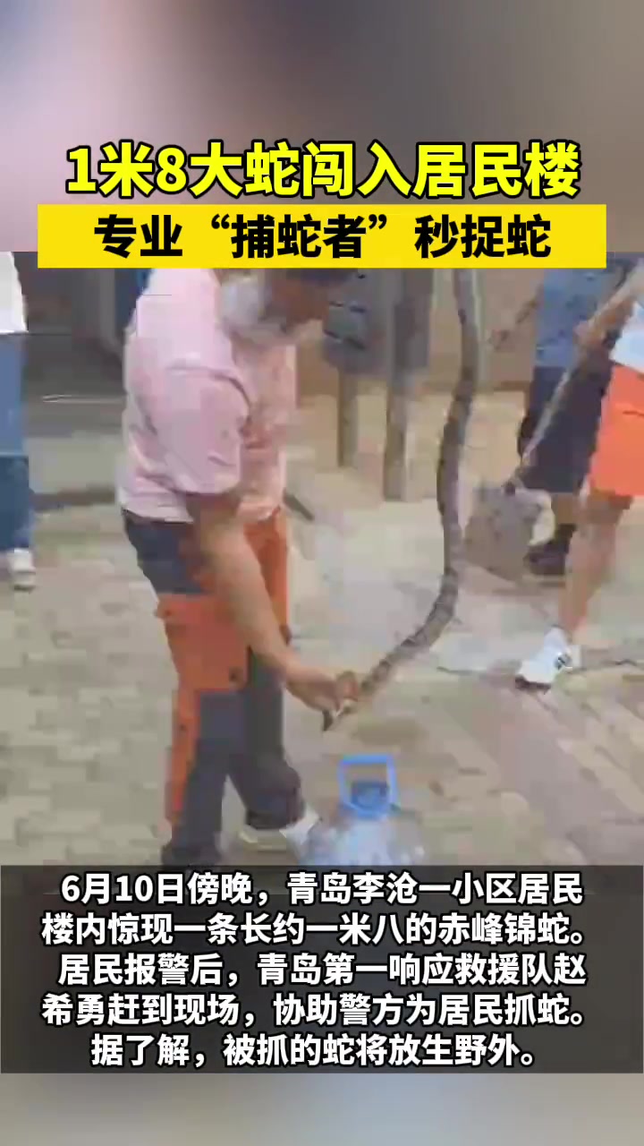 那！这就叫专业！