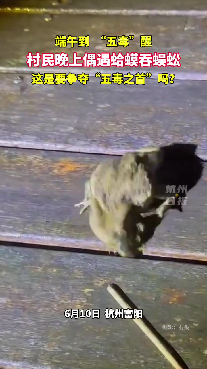 蛤蟆吞蜈蚣？！还是蜈蚣要进去？！