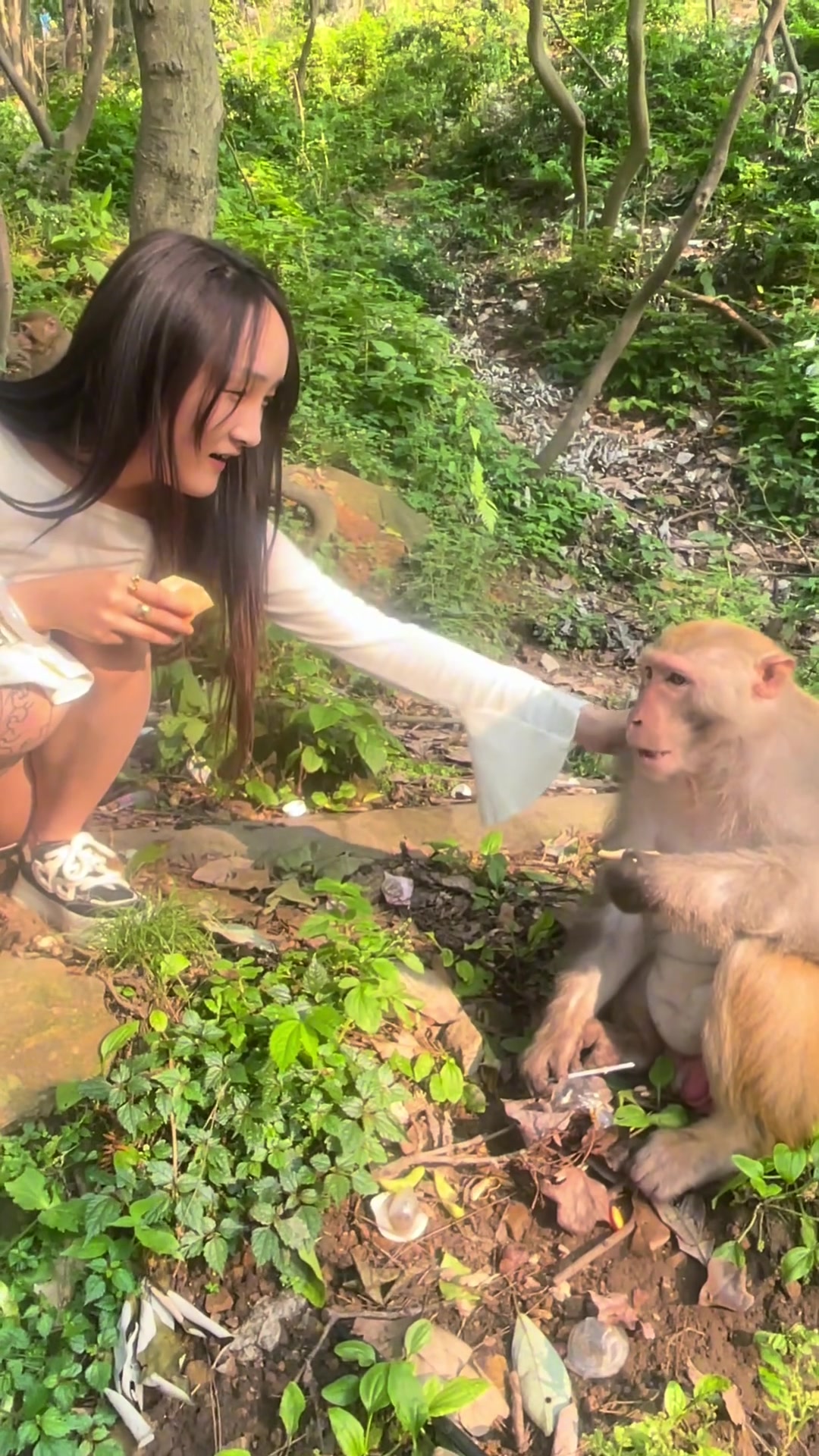 欠打！！猴哥都要生气了女子还在调戏他