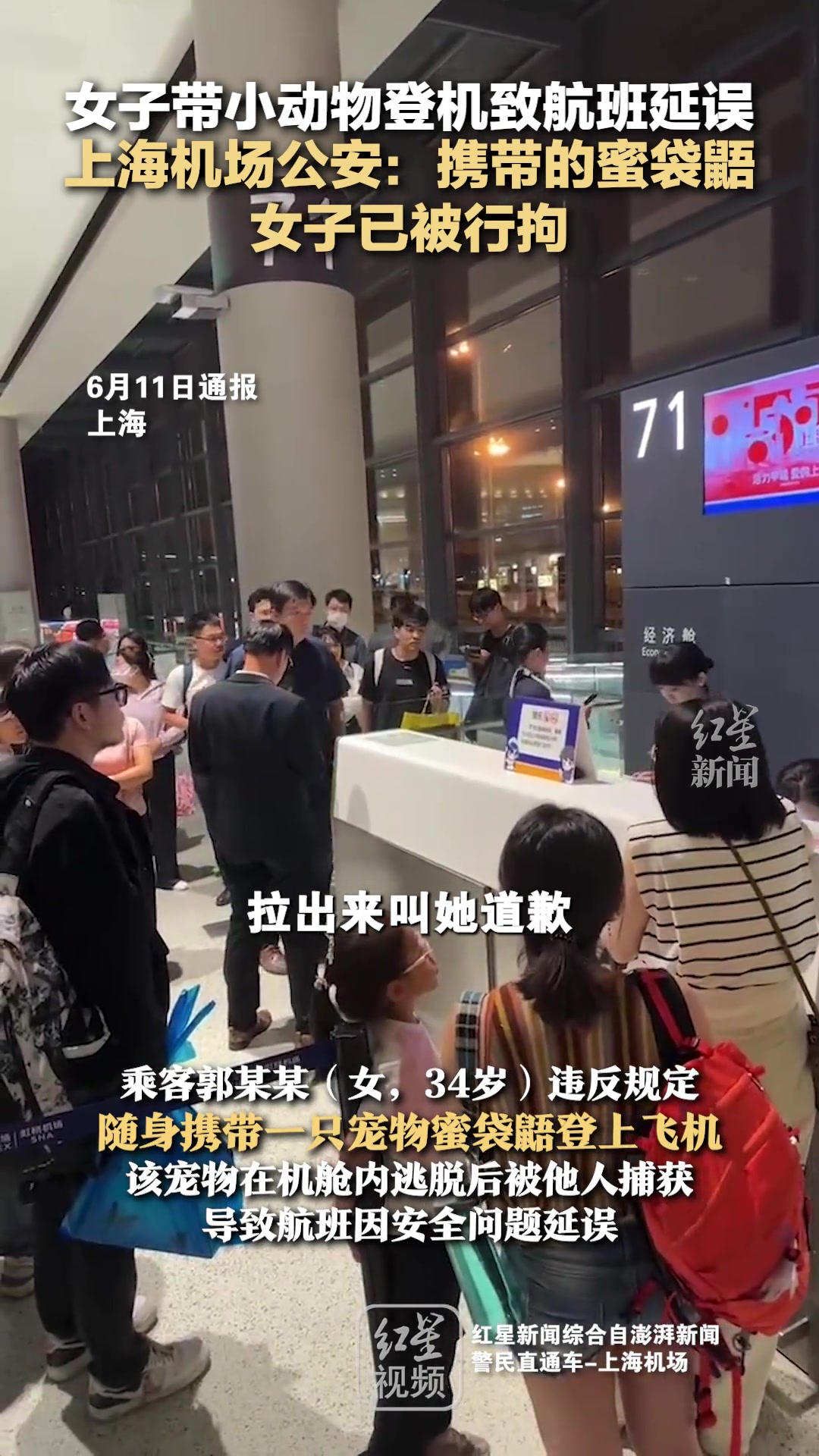 非带不可？女子携带宠物鼯鼠上飞机，导致整个航班延误