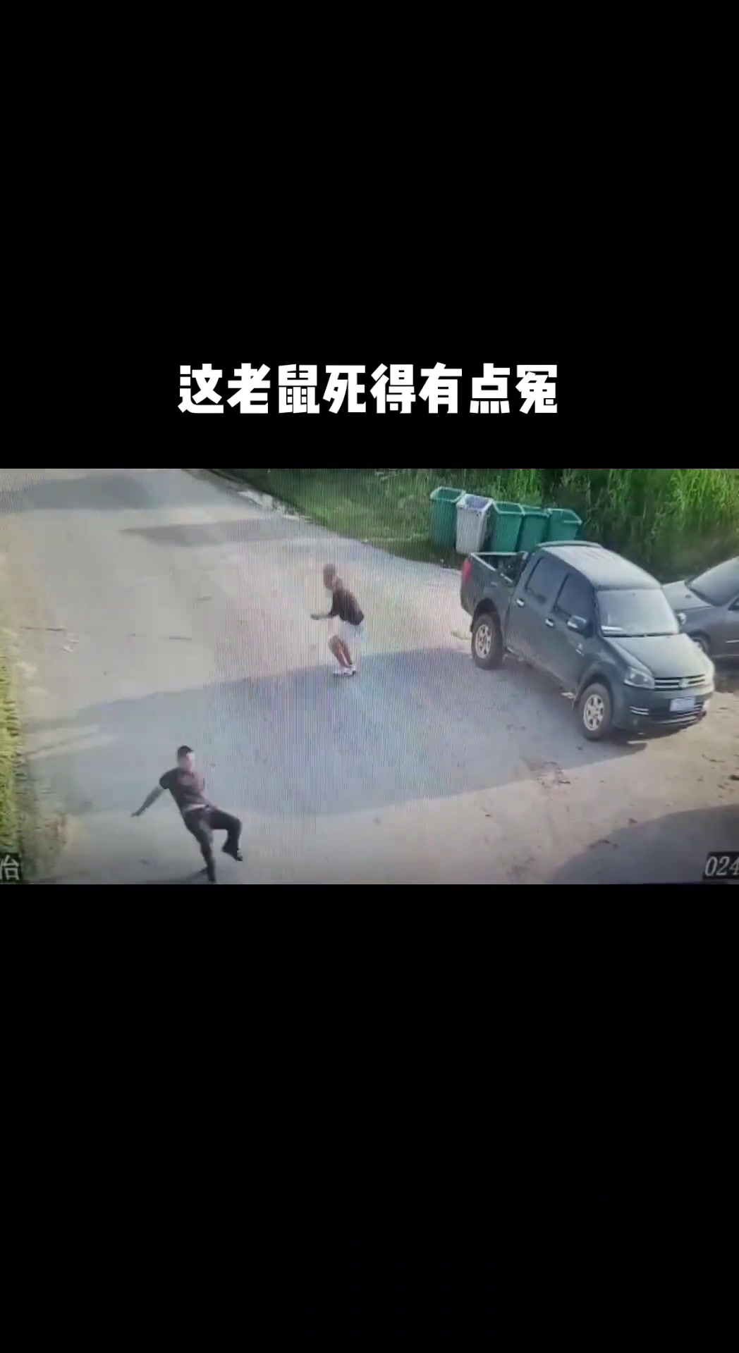 这老鼠死的好冤啊
