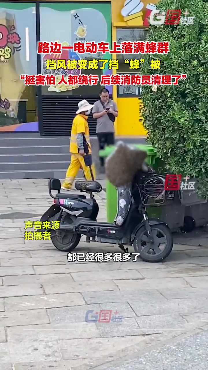 路边一电动车挡风被被蜂群占领 后面消防员给清理掉了
