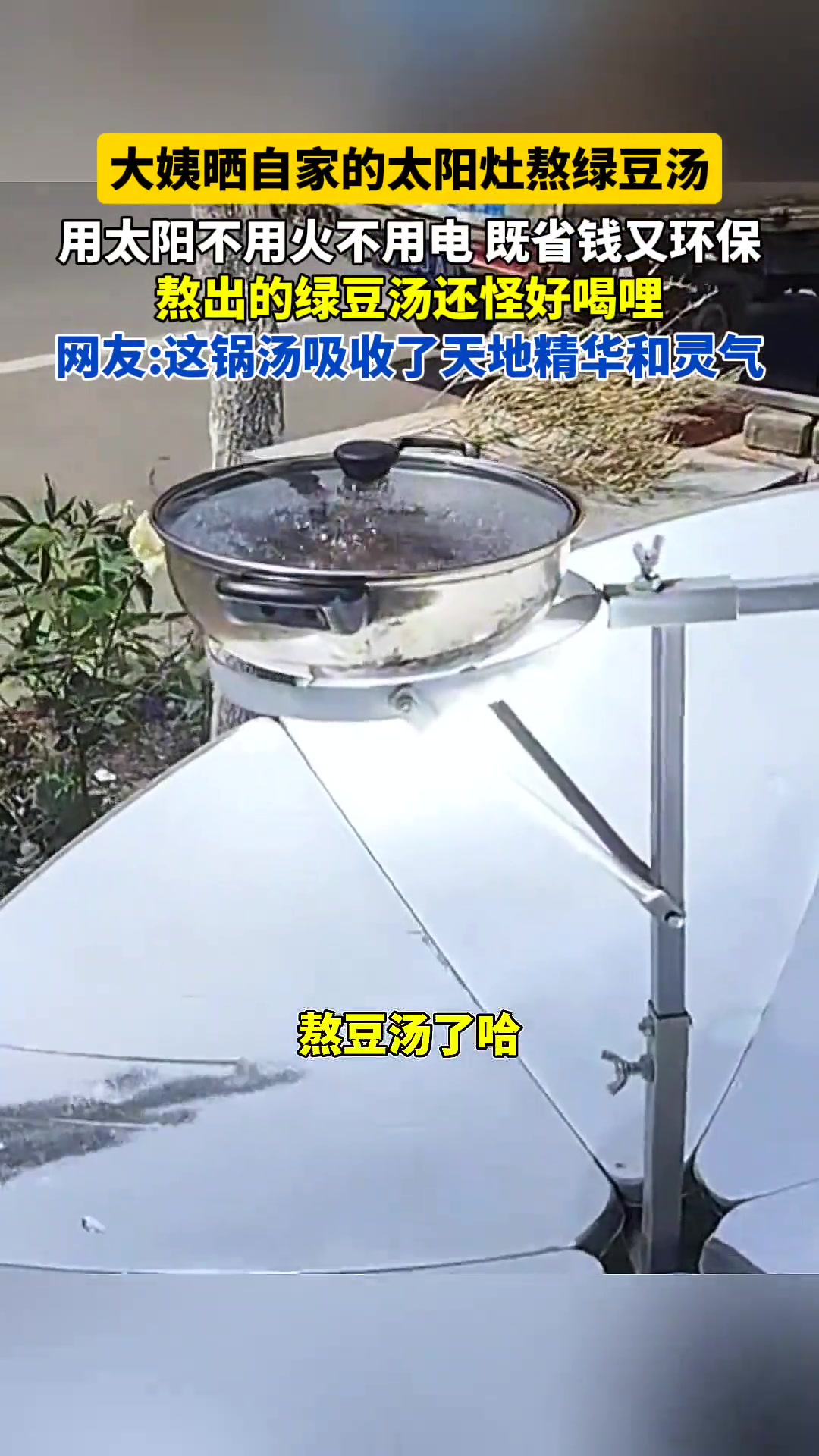 大姨晒用自家的太阳灶熬绿豆汤 真是既省钱又环保