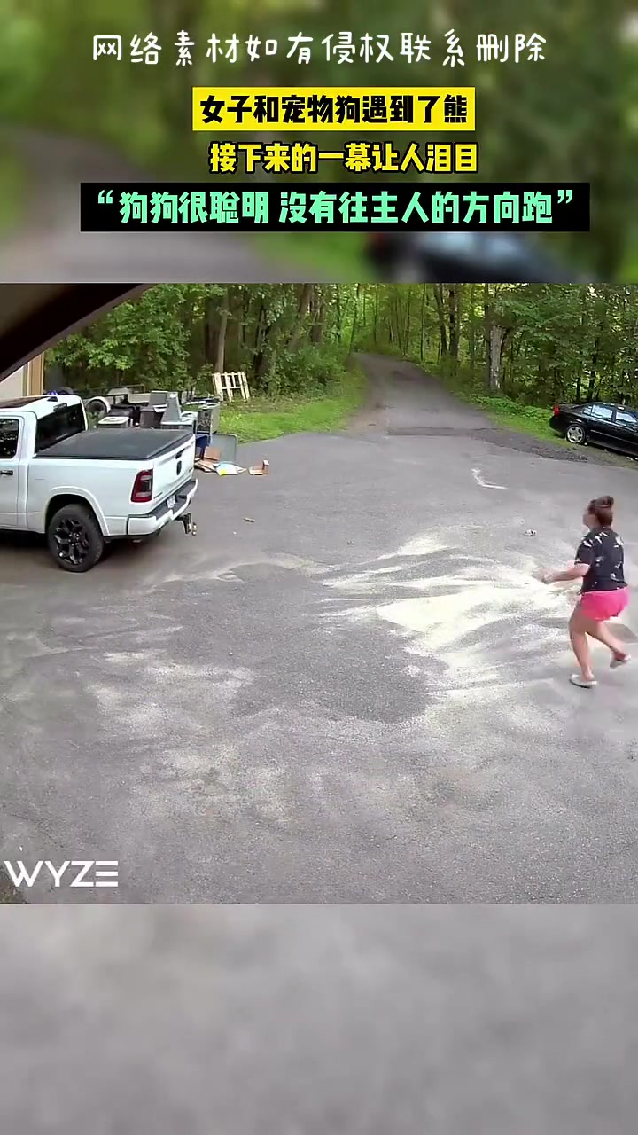 女子和宠物狗遇到熊，狗狗往与主人不同方向引走熊保护
