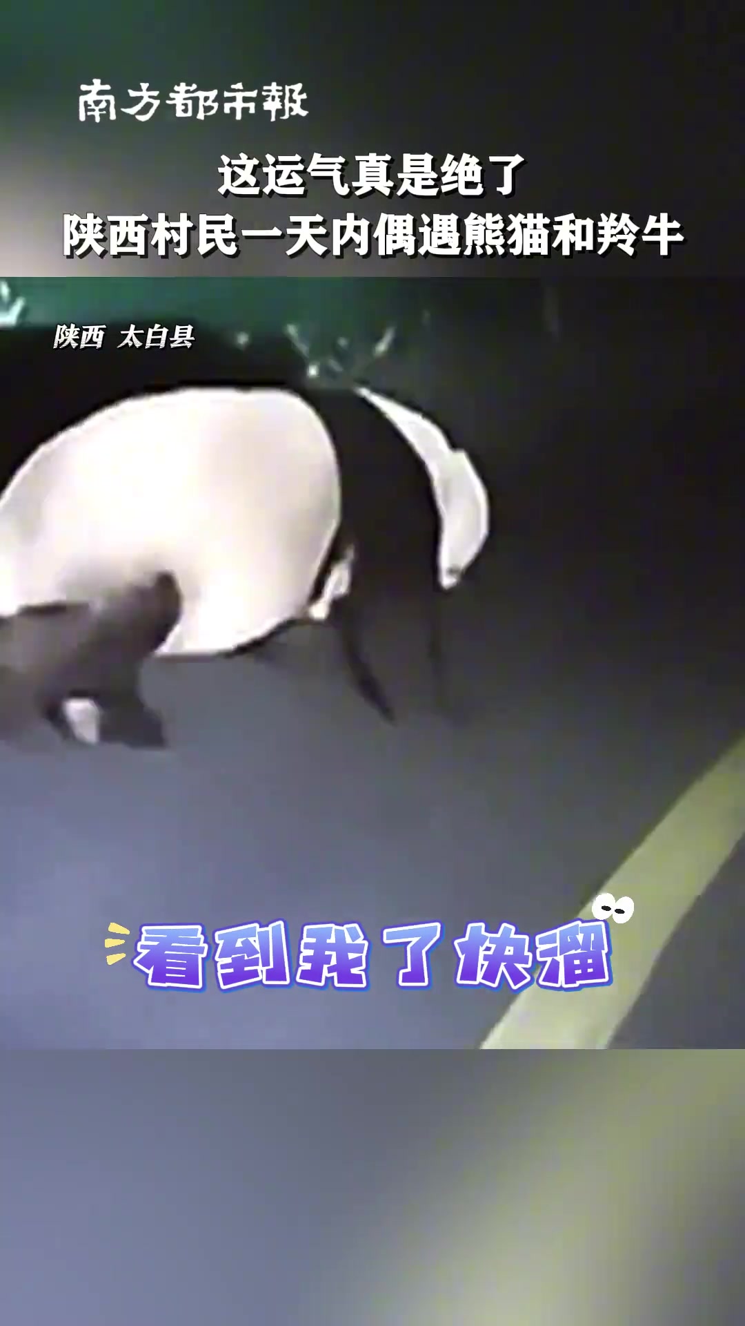 这运气去买彩票吧！