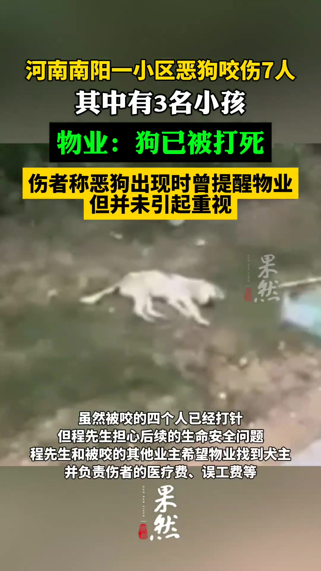 狗已打死！恶狗出没咬伤七人！