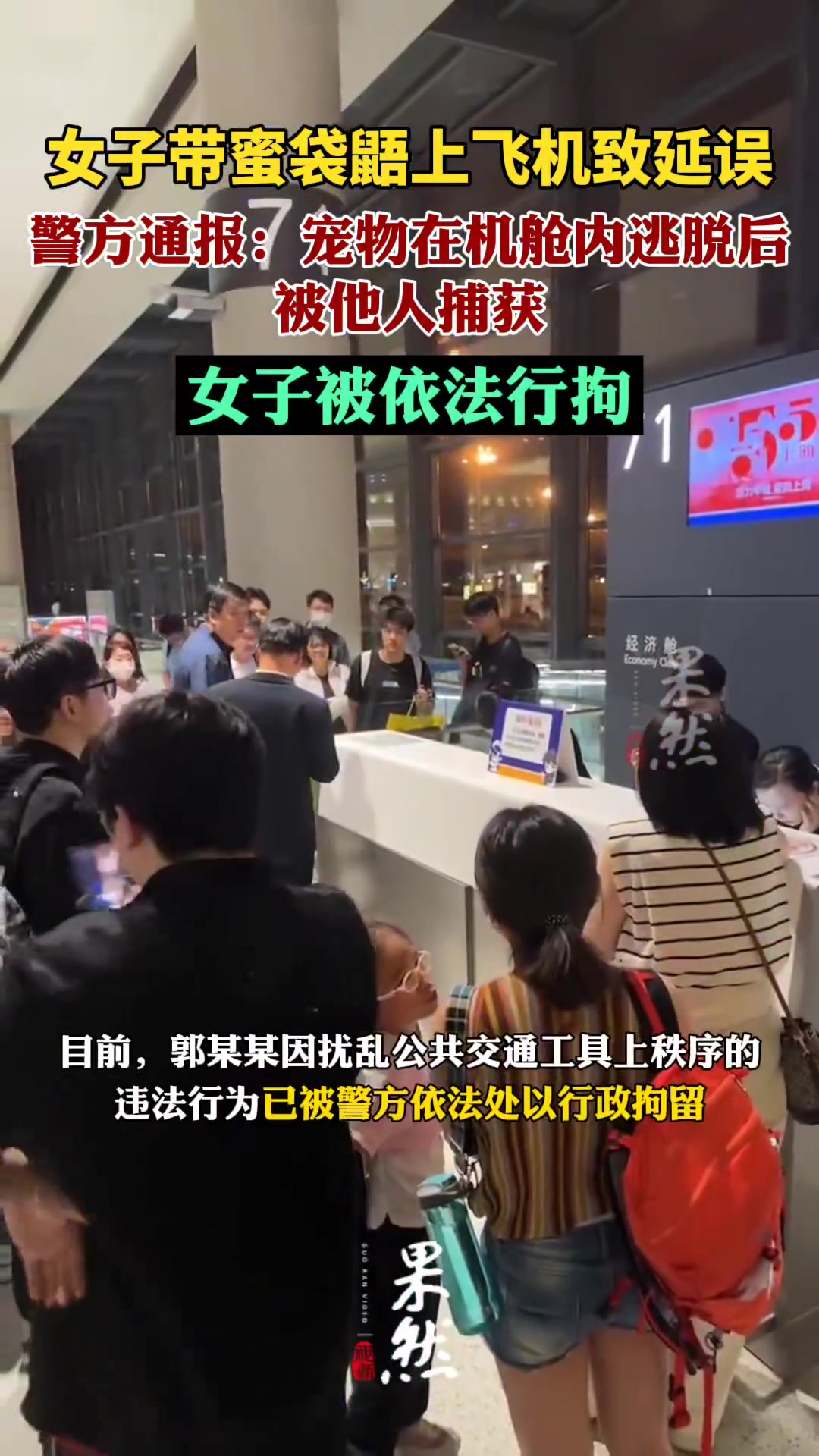 已行拘！女子带一只蜜袋鼯上飞机该宠物逃脱致航班延误