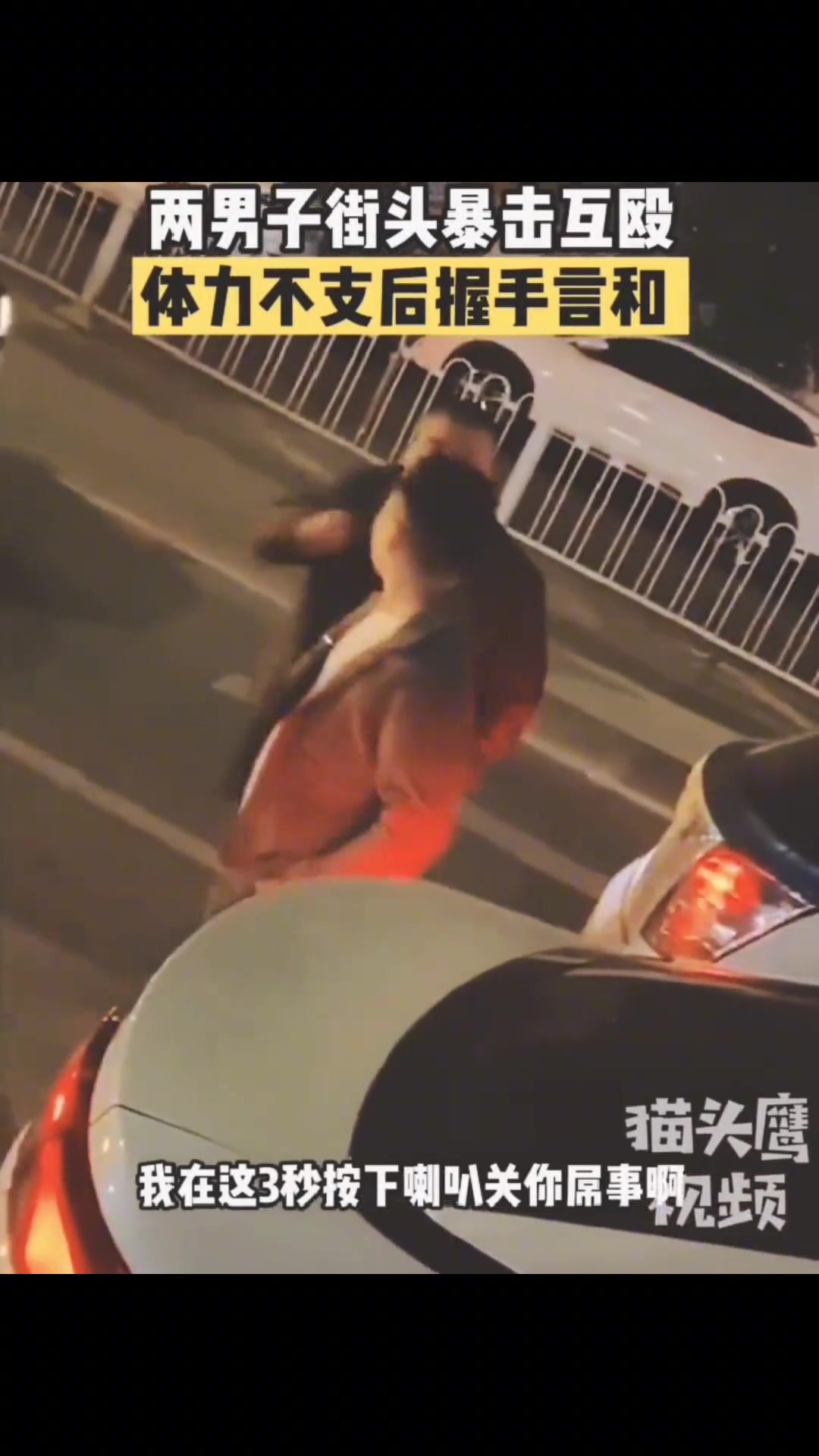 离谱！两男子街头暴击互殴 体力不支后竟握手言和