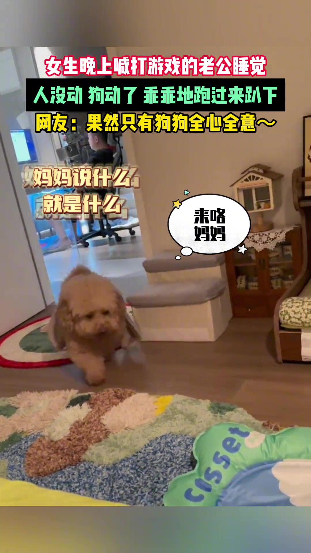 果然只有狗狗全心全意～
