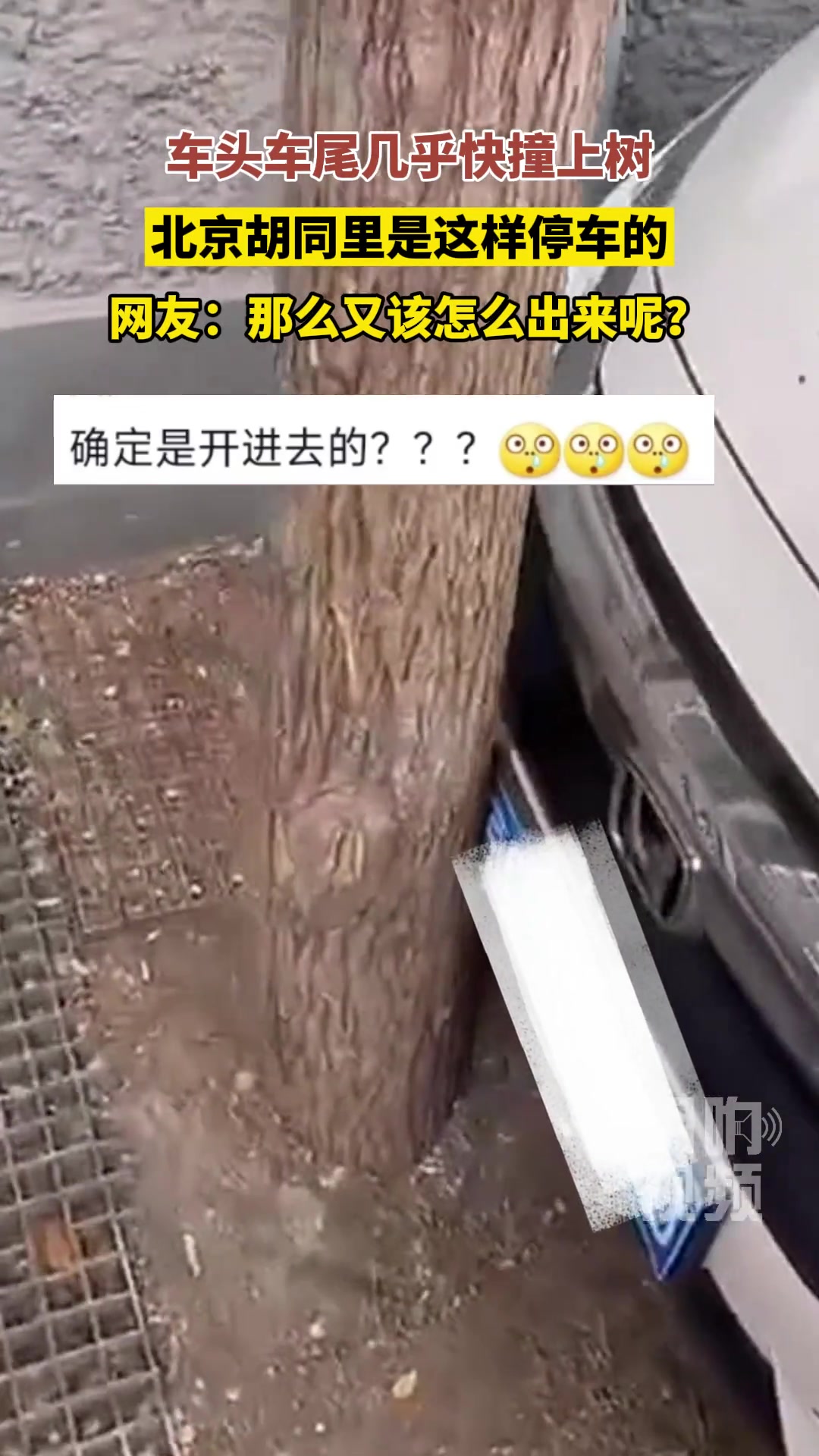 车头车尾都快撞上树了，北京胡同里都是这样停车的