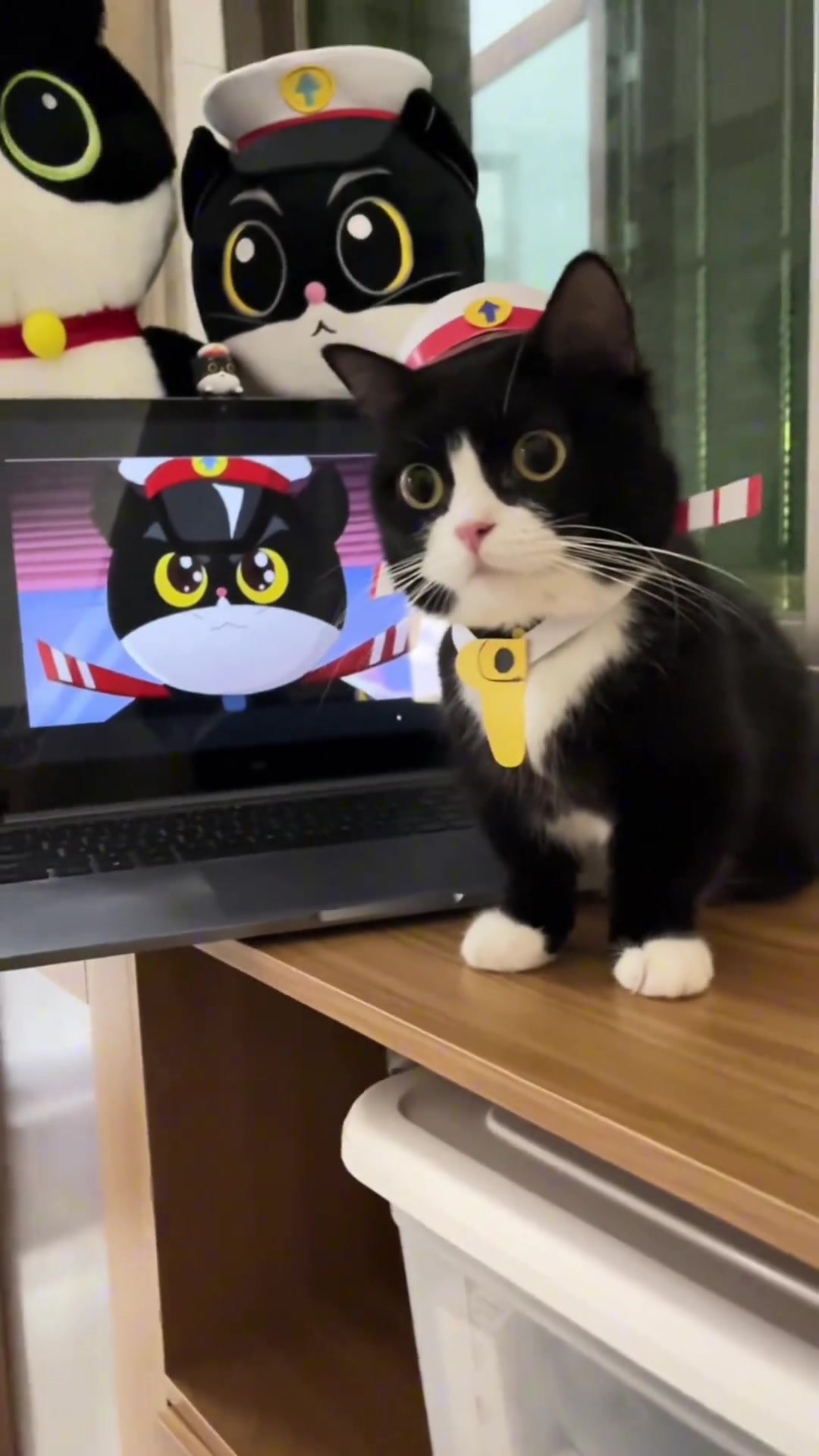 见到黑猫警长了！眼睛瞪得像铜铃，射出闪电般的精明！