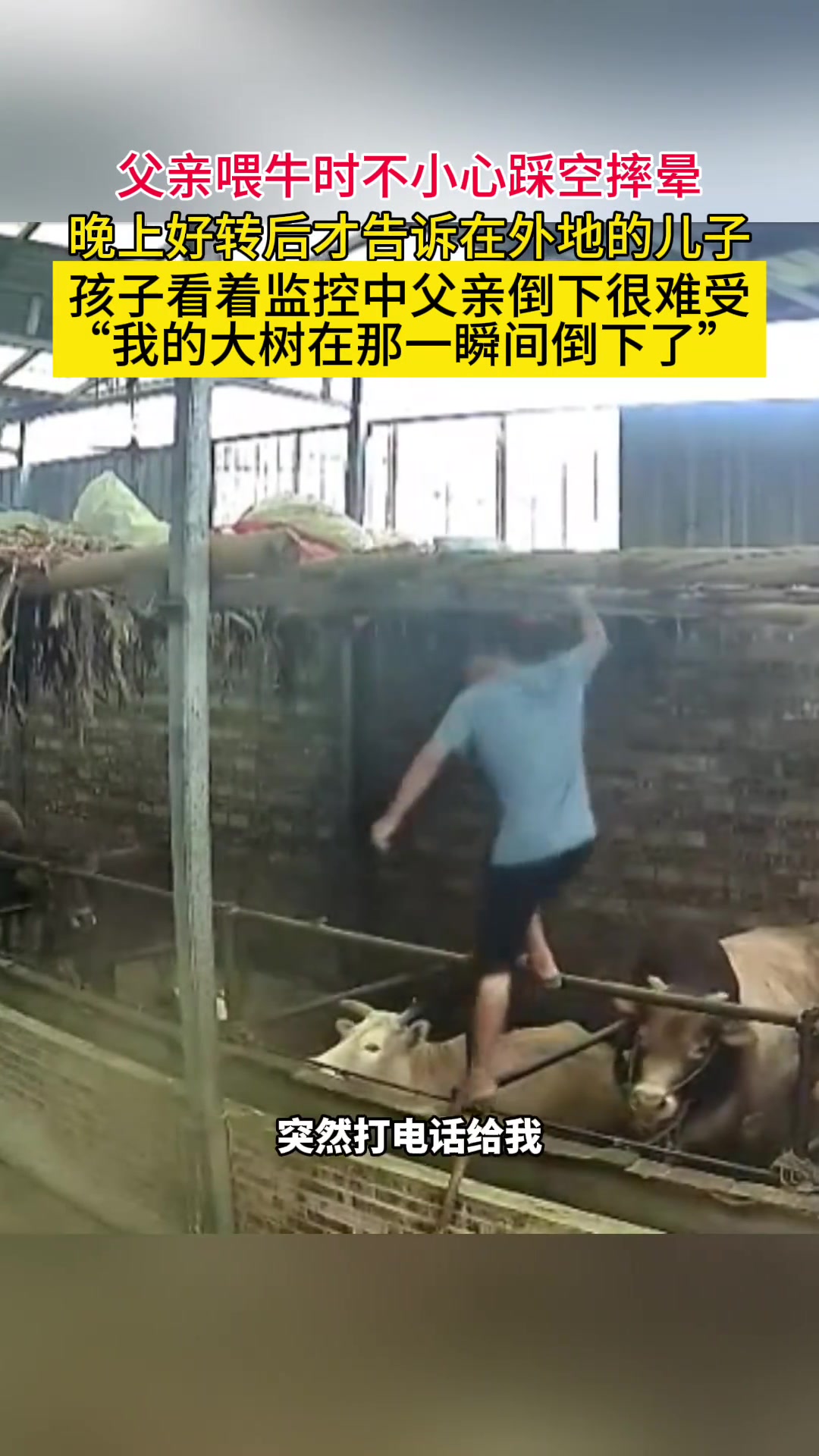 这些牛的反应都很有灵性!