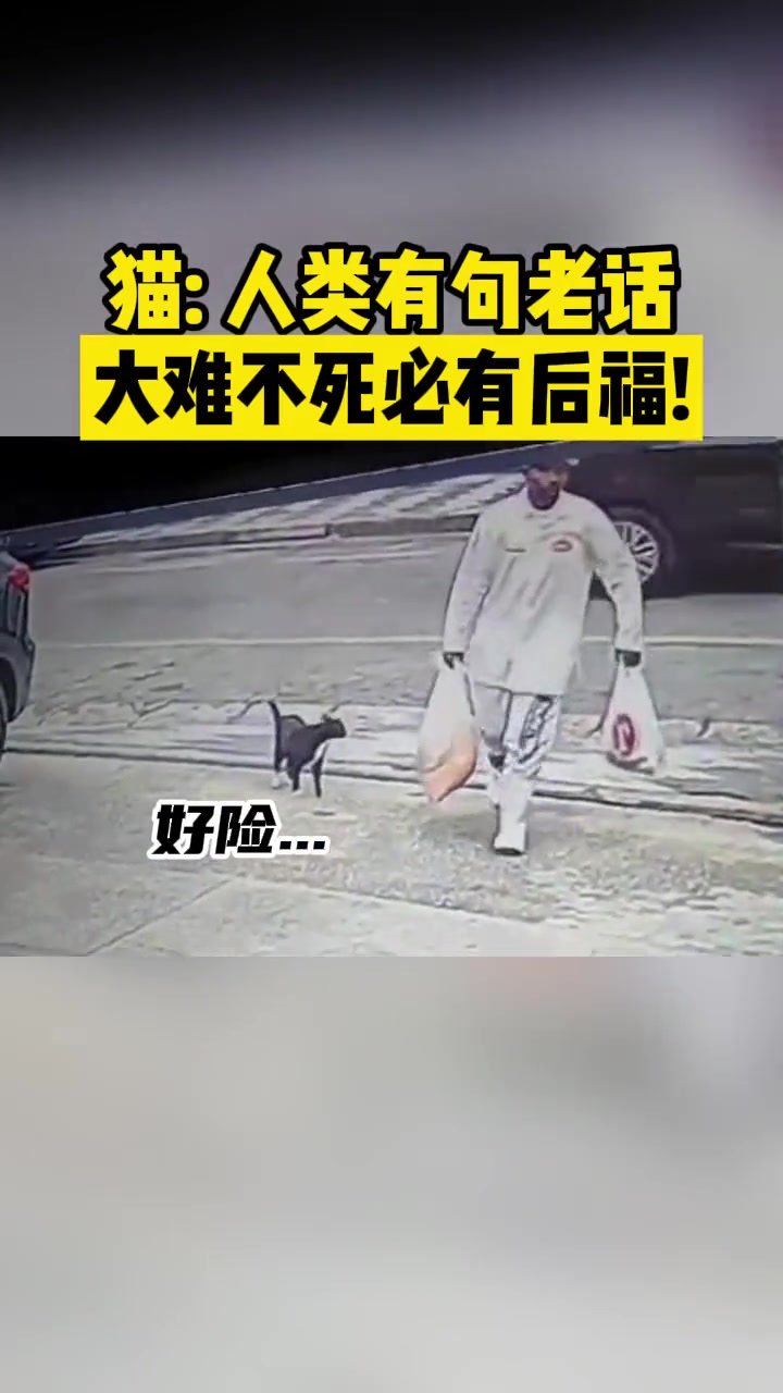 猫：大难不死必有后福！！！